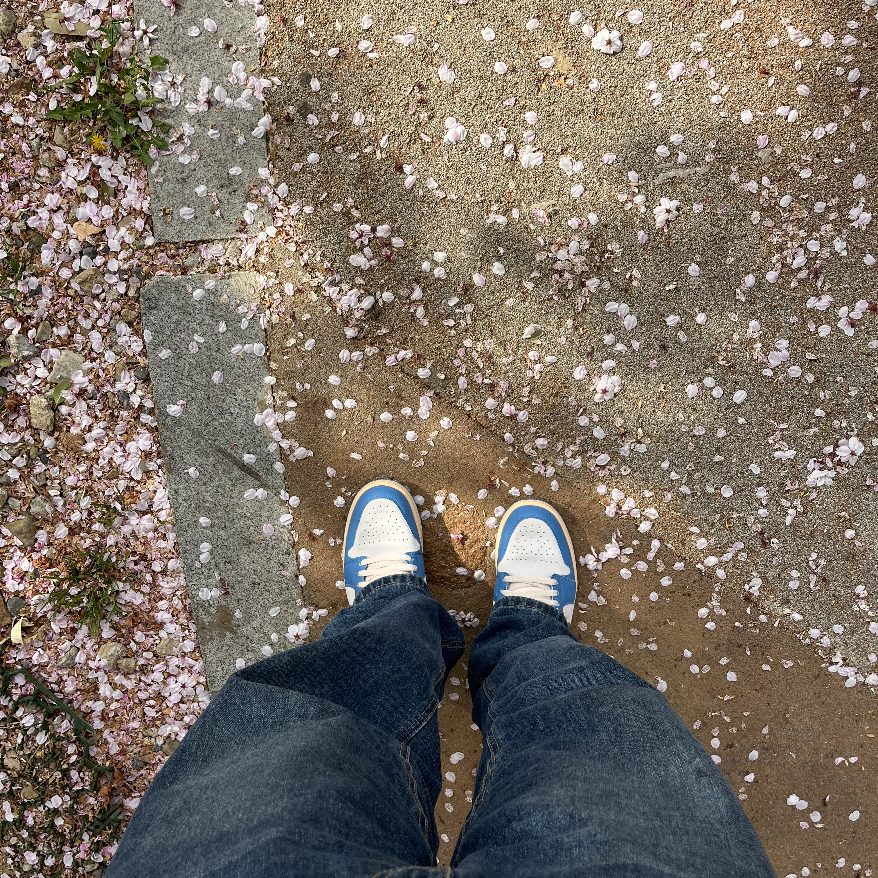 Jordan 1 Low SE Tokyo 96 착용 스타일 - 1