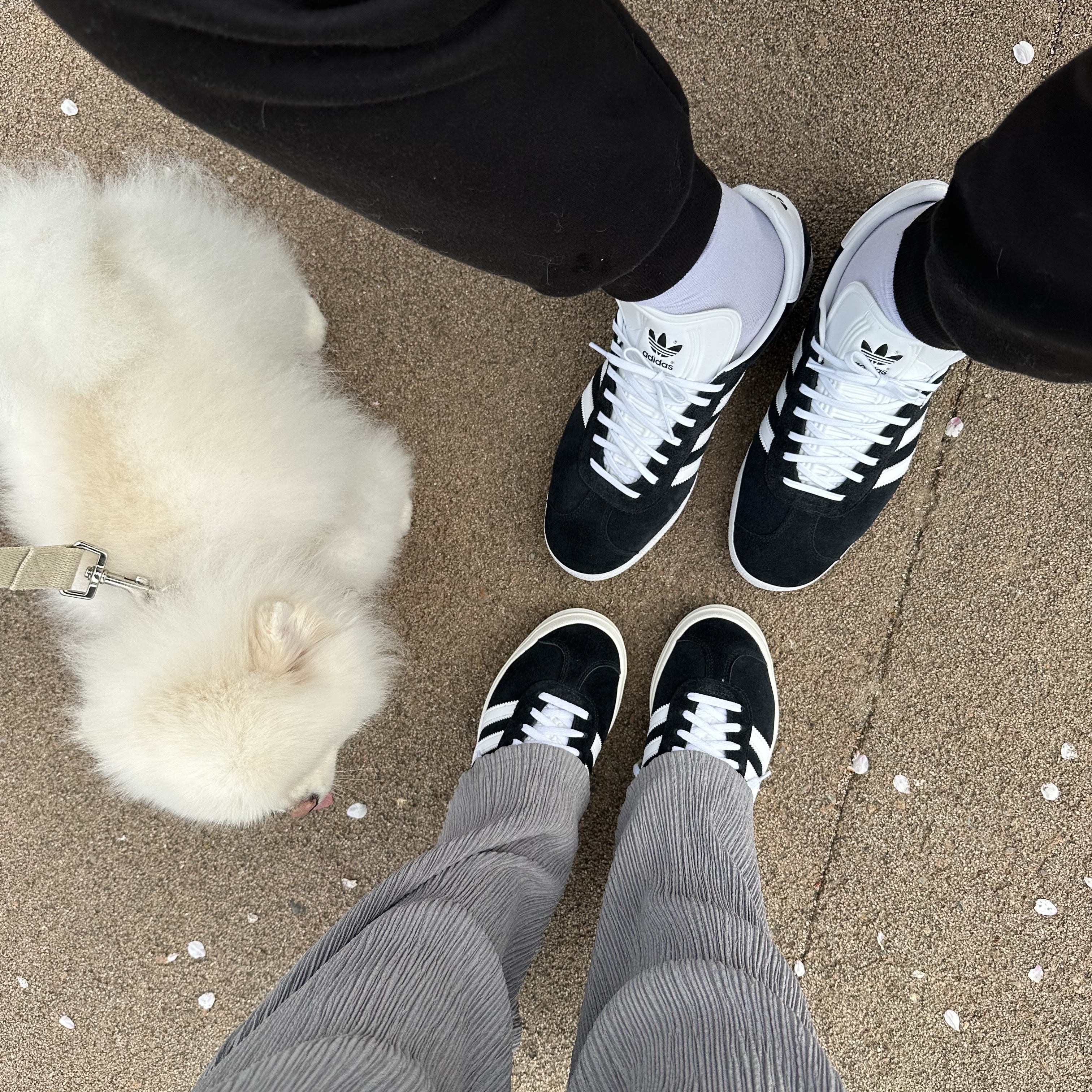 (W) Adidas Gazelle Bold Core Black Cloud White 착용 스타일