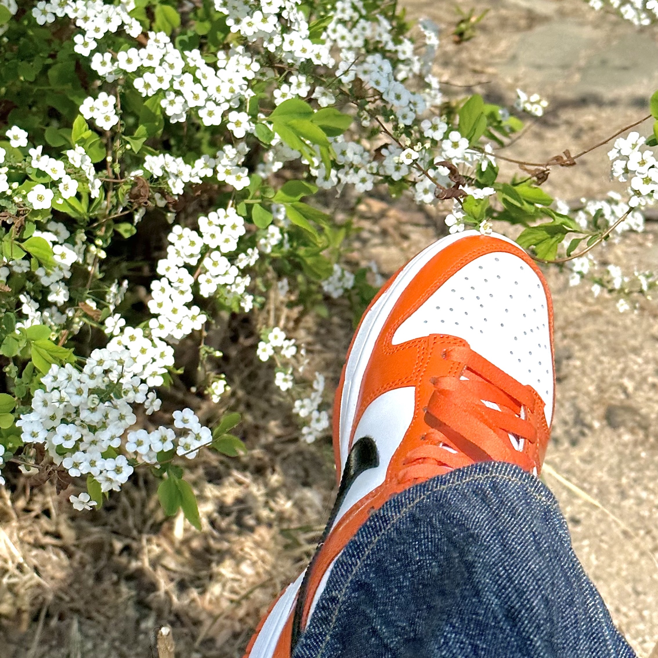 (W) Nike Dunk Low Essential Brilliant Orange 착용 스타일