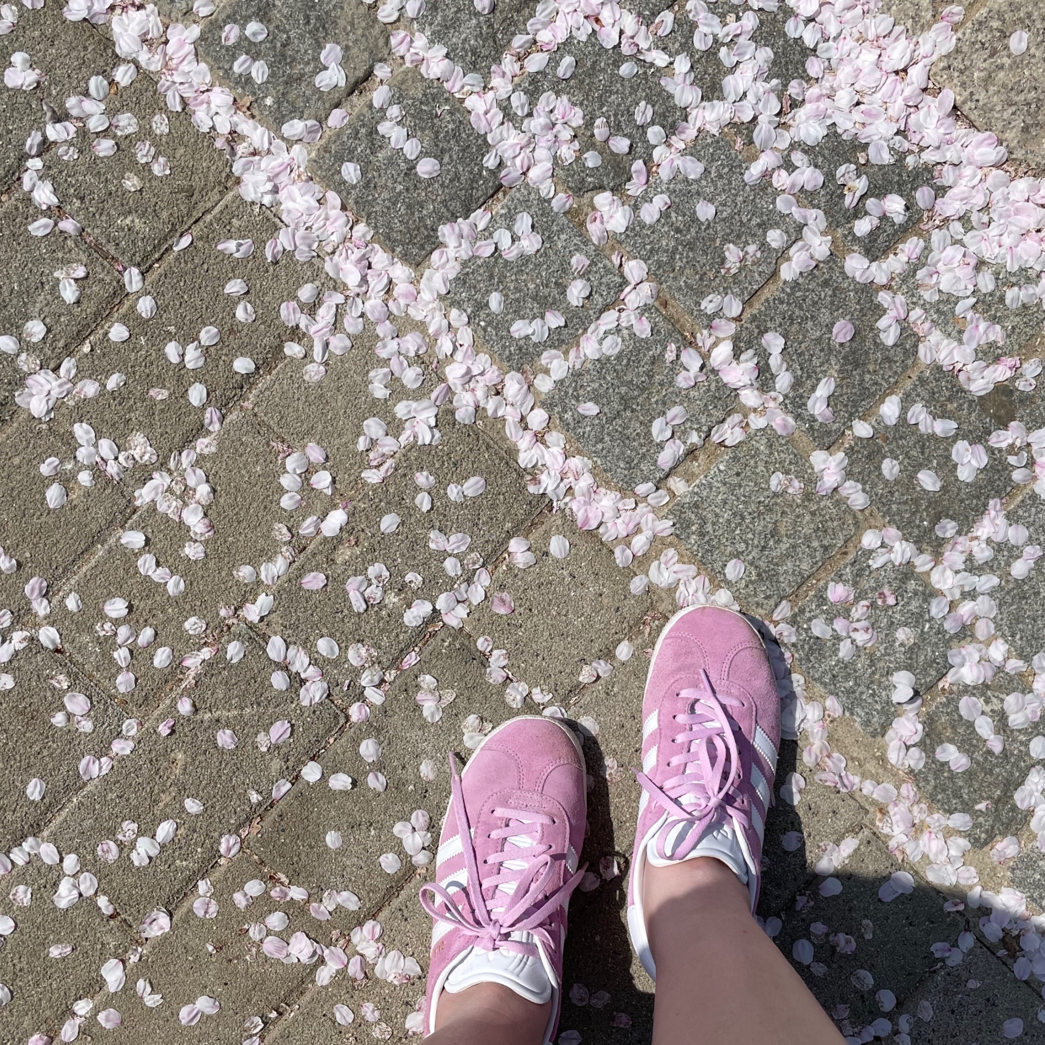 COS Quilted Mini Bag Dusty Lilac, (J) Adidas Gazelle Bliss Lilac 착용 스타일 - 3