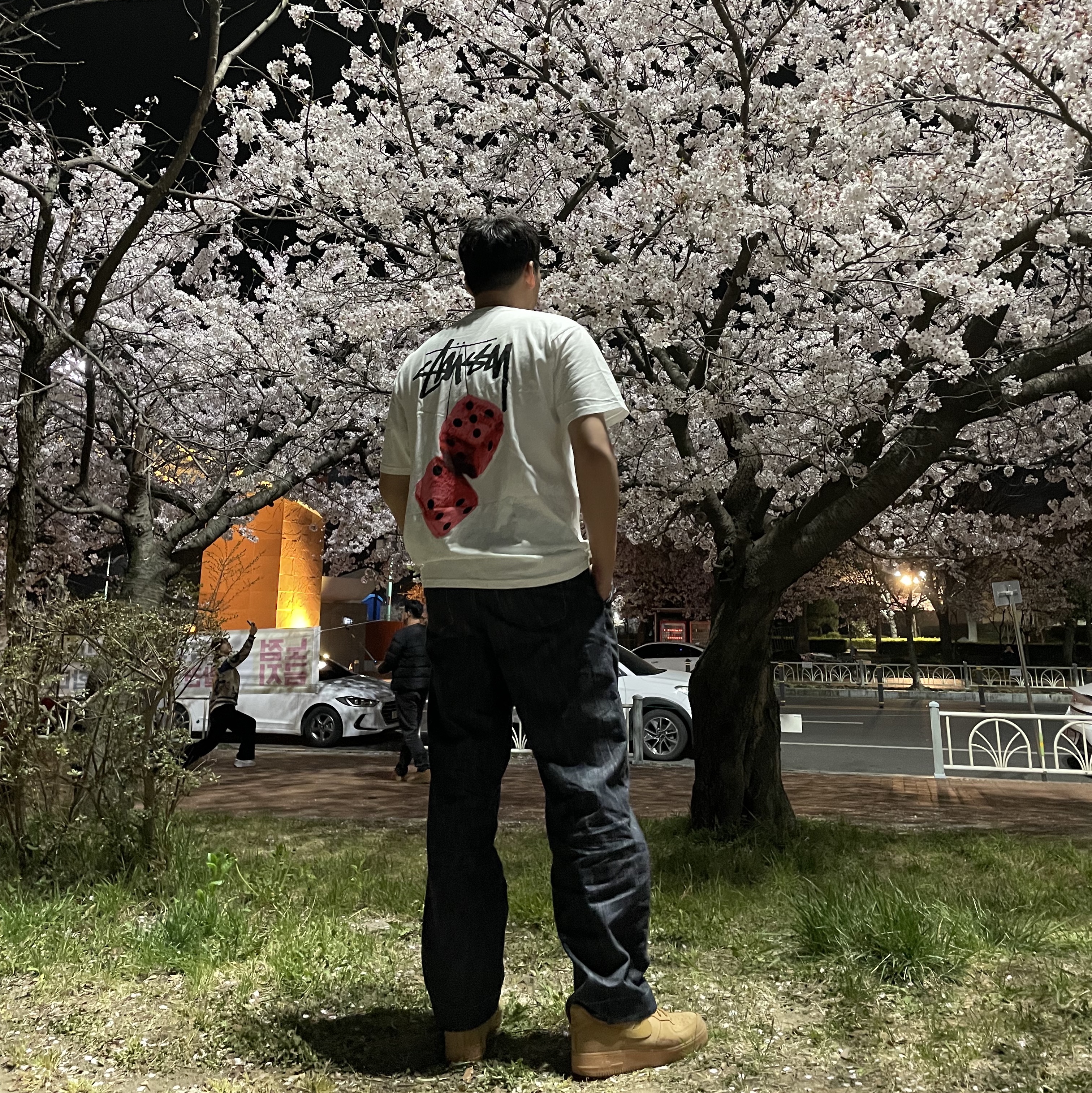 Stussy Fuzzy Dice T-Shirt White, Nike Air Force 1 '07 WB Flax 착용 스타일