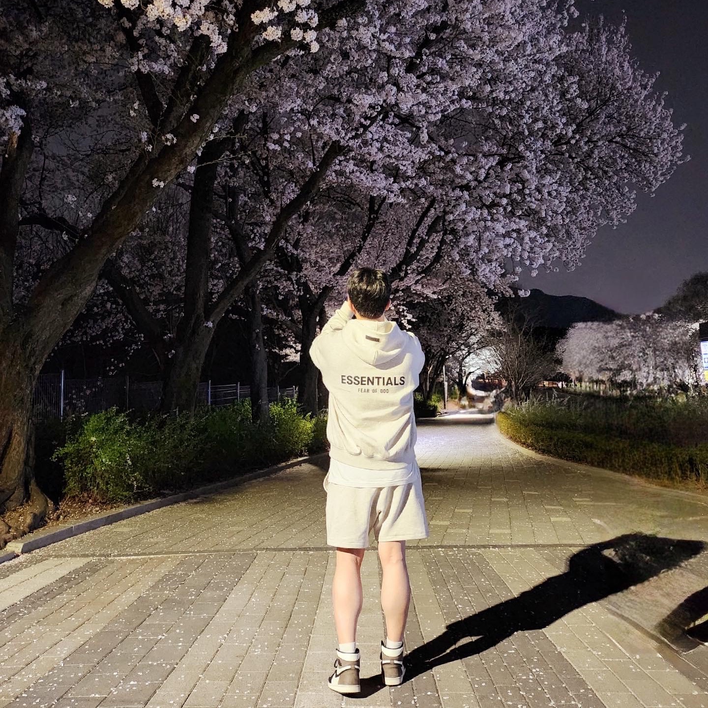 Essentials The Core Collection Hoodie Light Oatmeal, Essentials The Core Collection Sweatshorts Light Oatmeal 착용 스타일