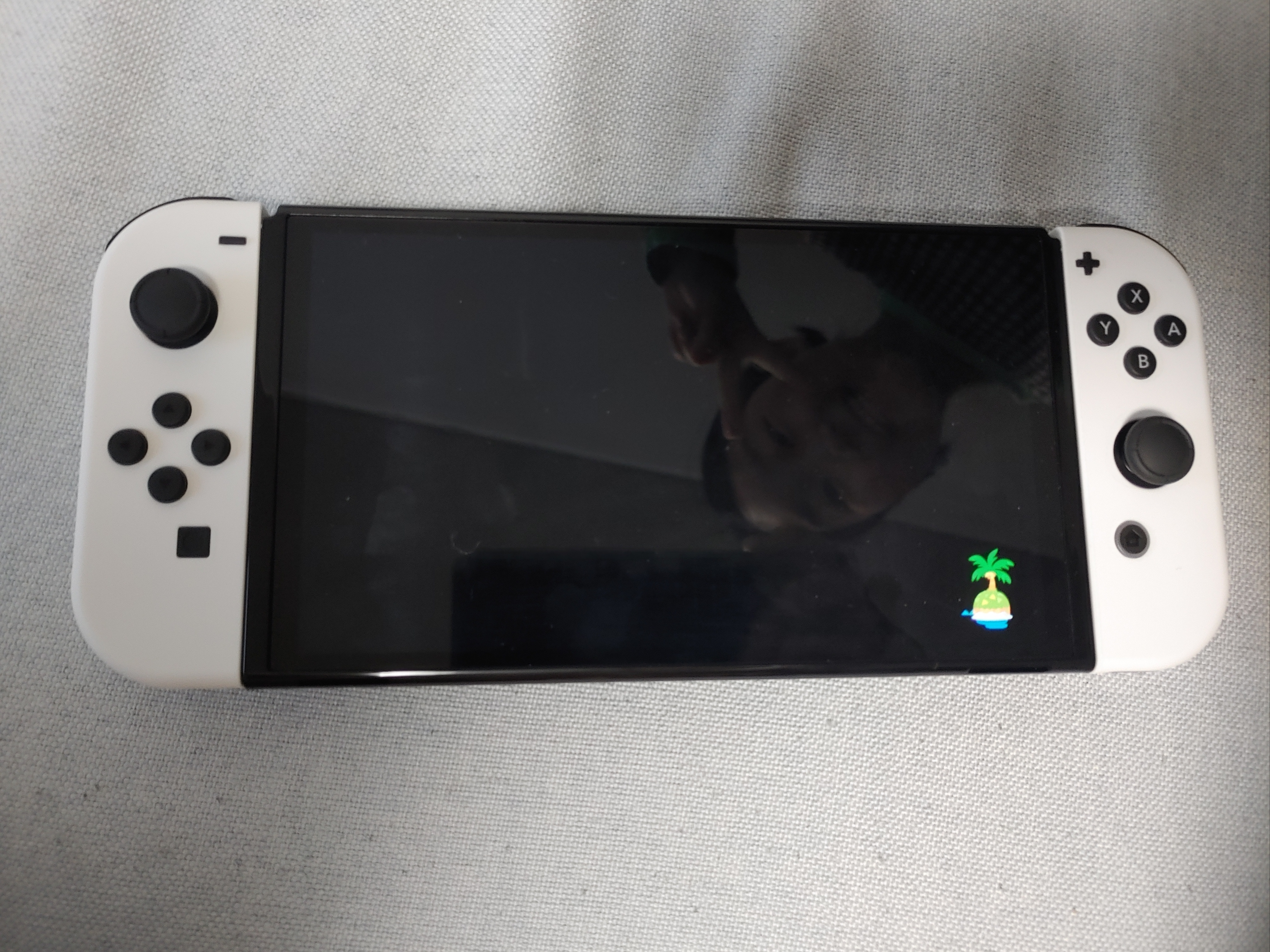 Nintendo Switch OLED White (Korean Ver.) 착용 스타일