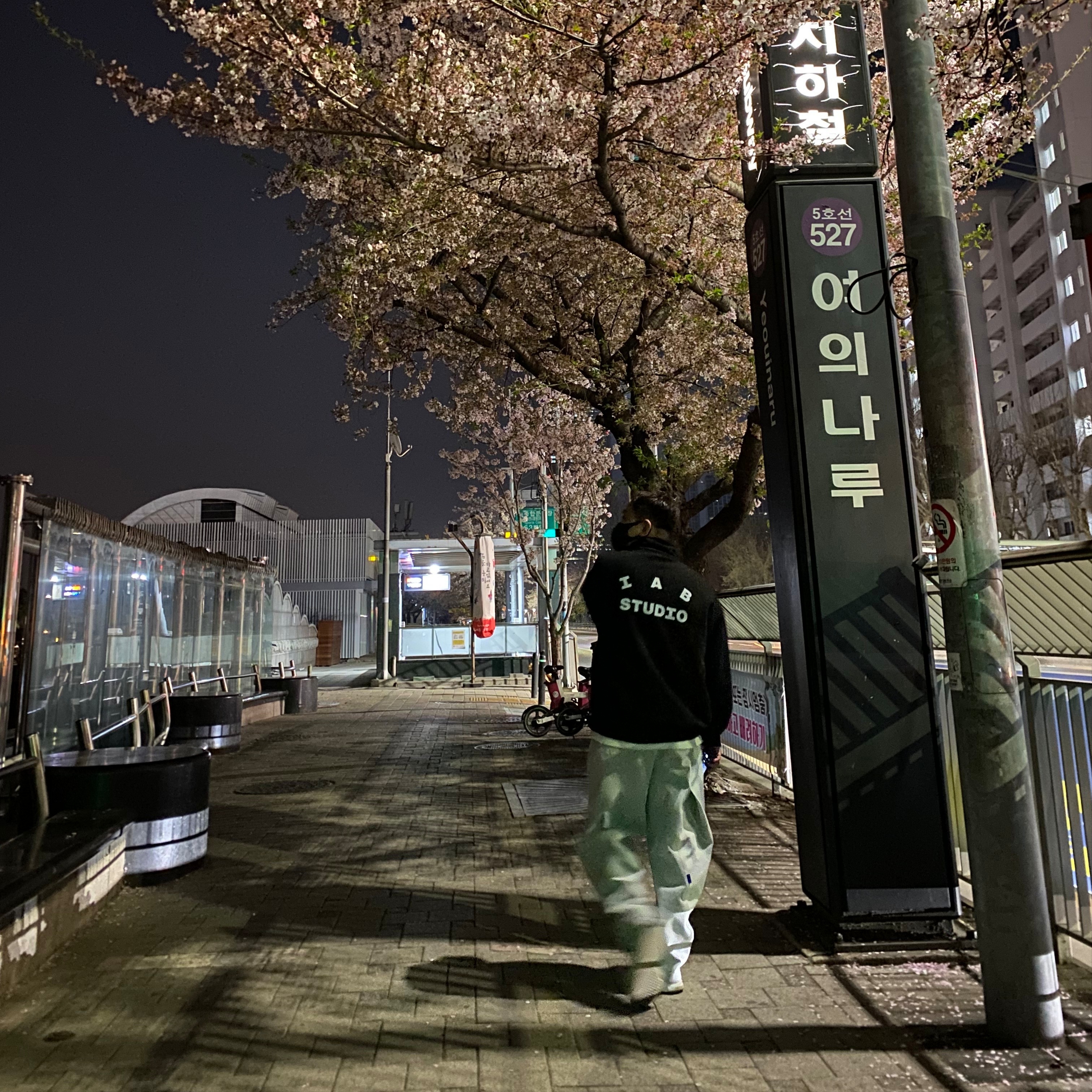 IAB Studio Half Zip-Up Black White, Zara x Ader Error Jogger Pants Grey 착용 스타일 - 1