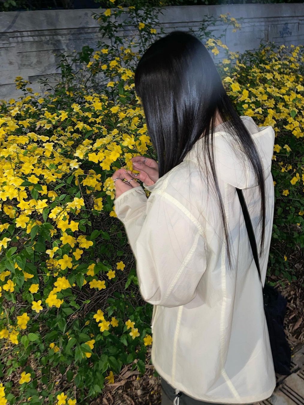 Art Of Field Back Printed Packable Jacket Light Yellow 착용 스타일 - 3