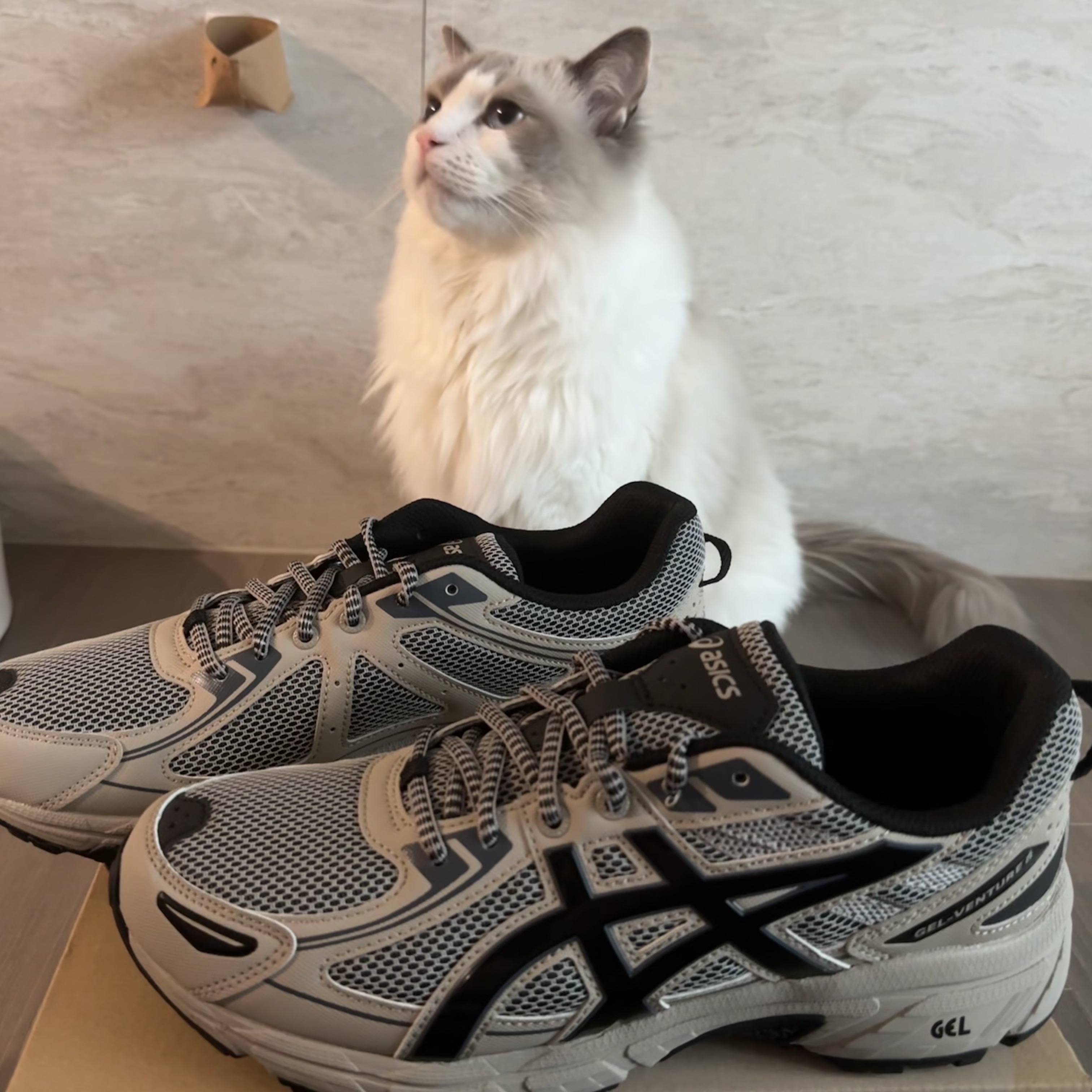 Asics Gel-Venture 6 Feather Grey Black 착용 스타일