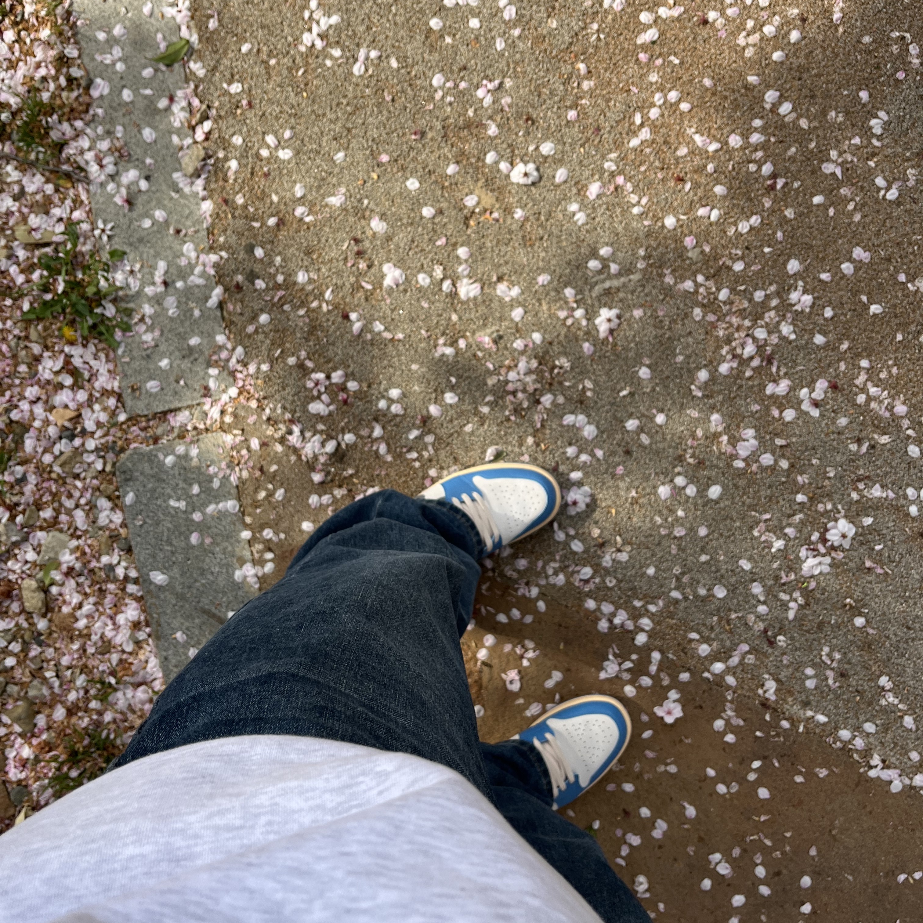 Jordan 1 Low SE Tokyo 96 착용 스타일 - 2