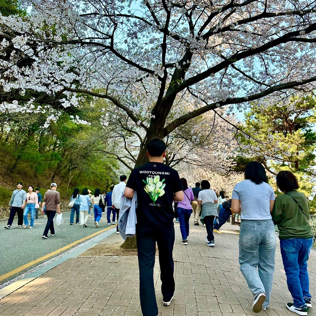 Wooyoungmi Flower Print Back Logo T-Shirt Black - 22SS 착용 스타일
