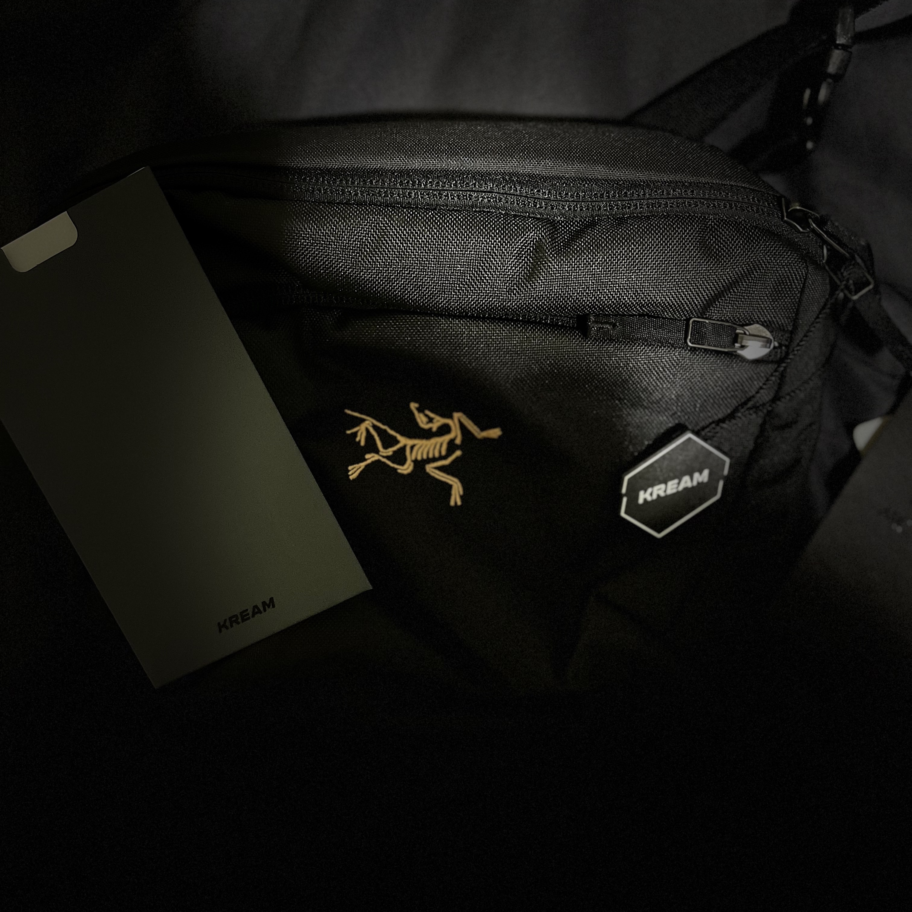Arc'teryx Mantis 2 Waistpack 24K Black 착용 스타일