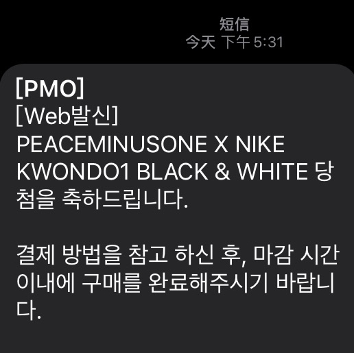 Nike x Peaceminusone Kwondo1 Black and White 착용 스타일