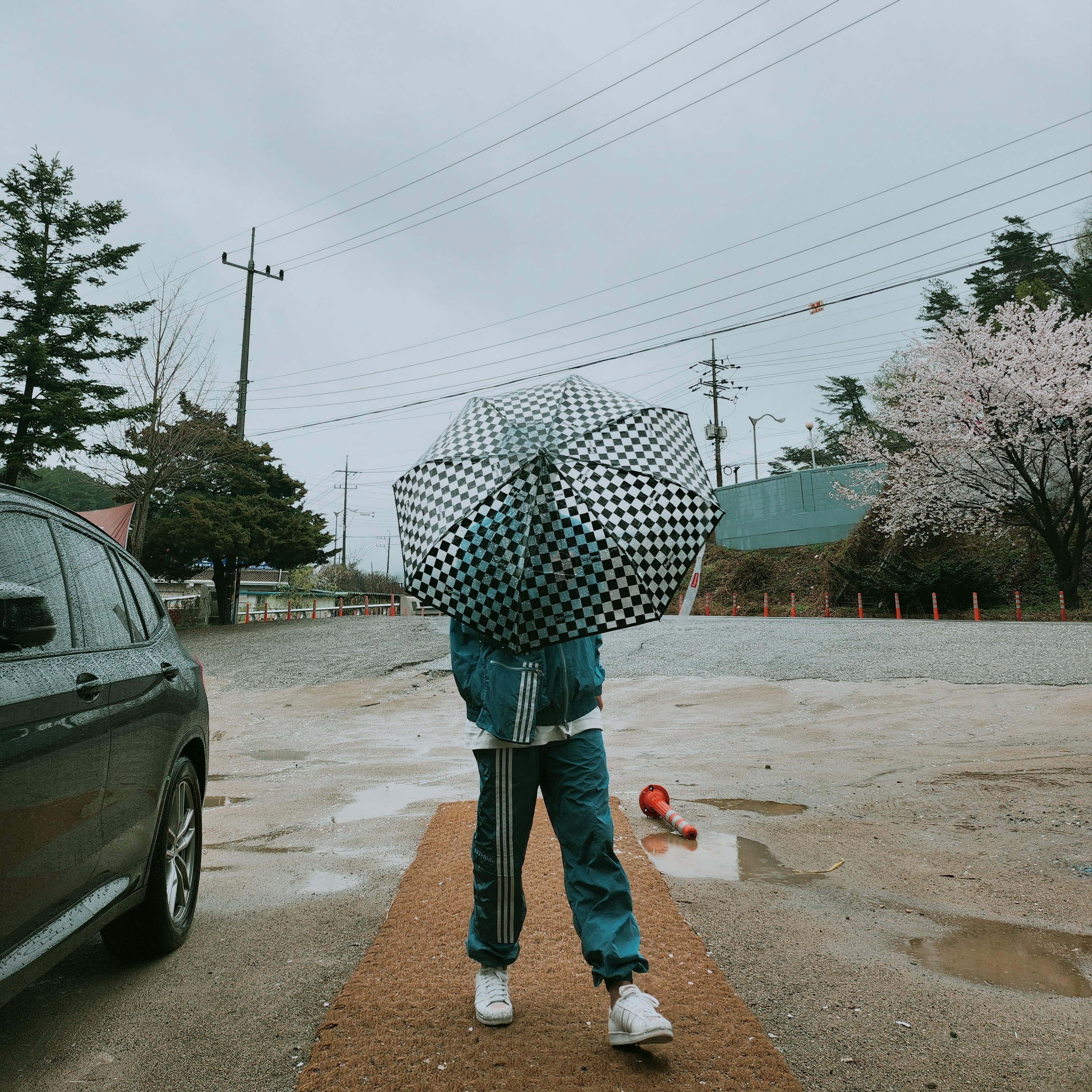 Supreme x ShedRain Transparent Checkerboard Umbrella - 20SS 착용 스타일 - 1