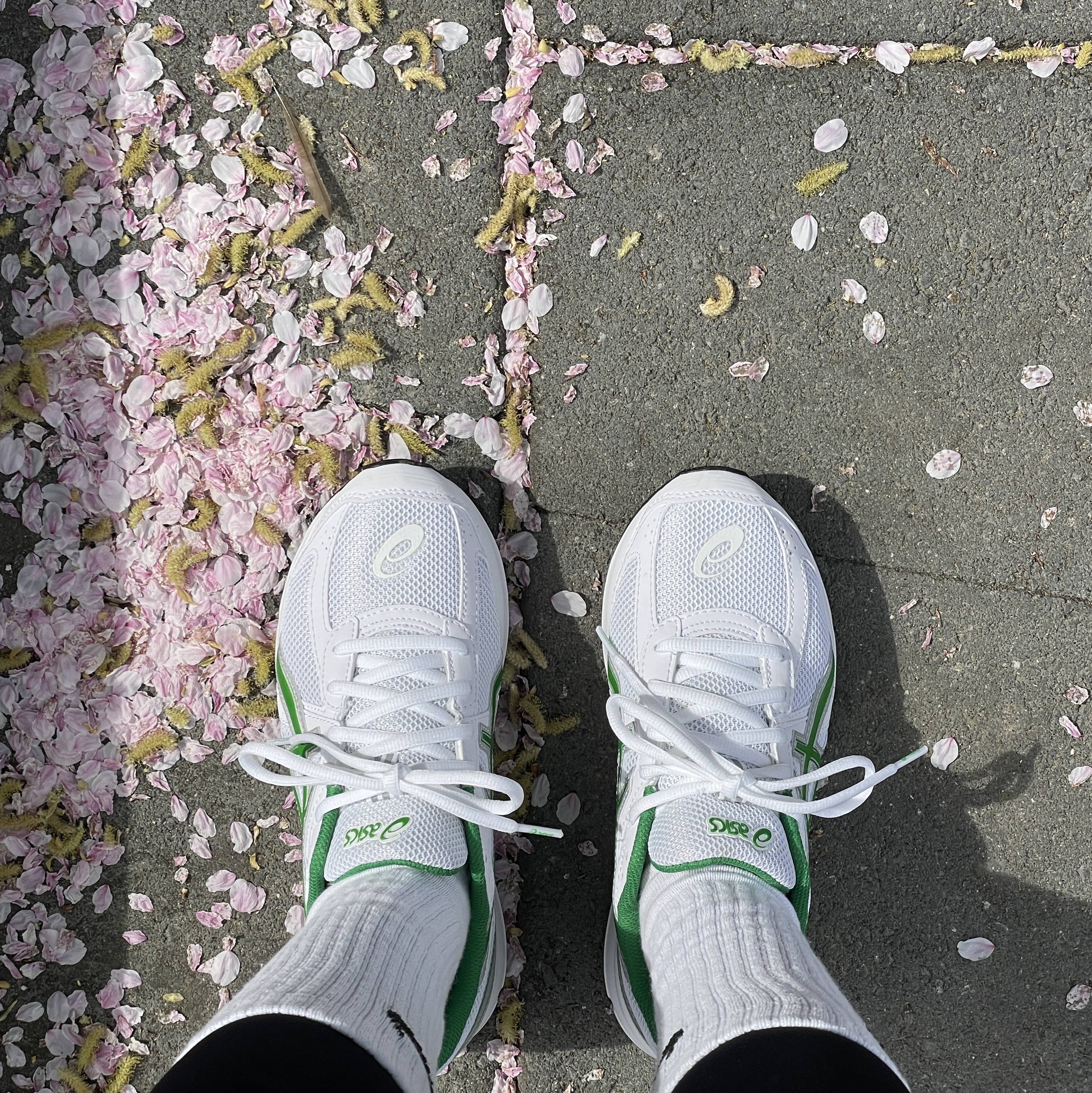 Asics Jog 100 S White Green - 2E Wide 착용 스타일 - 1