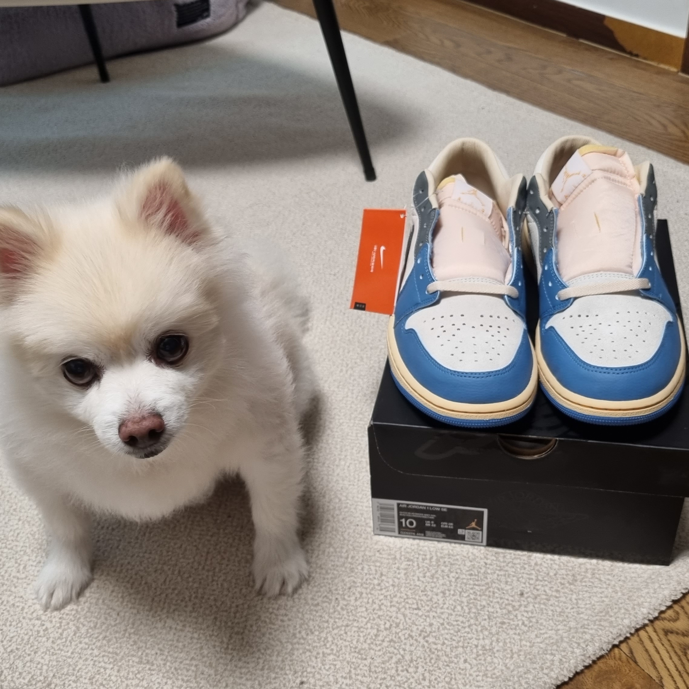 Jordan 1 Low SE Tokyo 96 착용 스타일