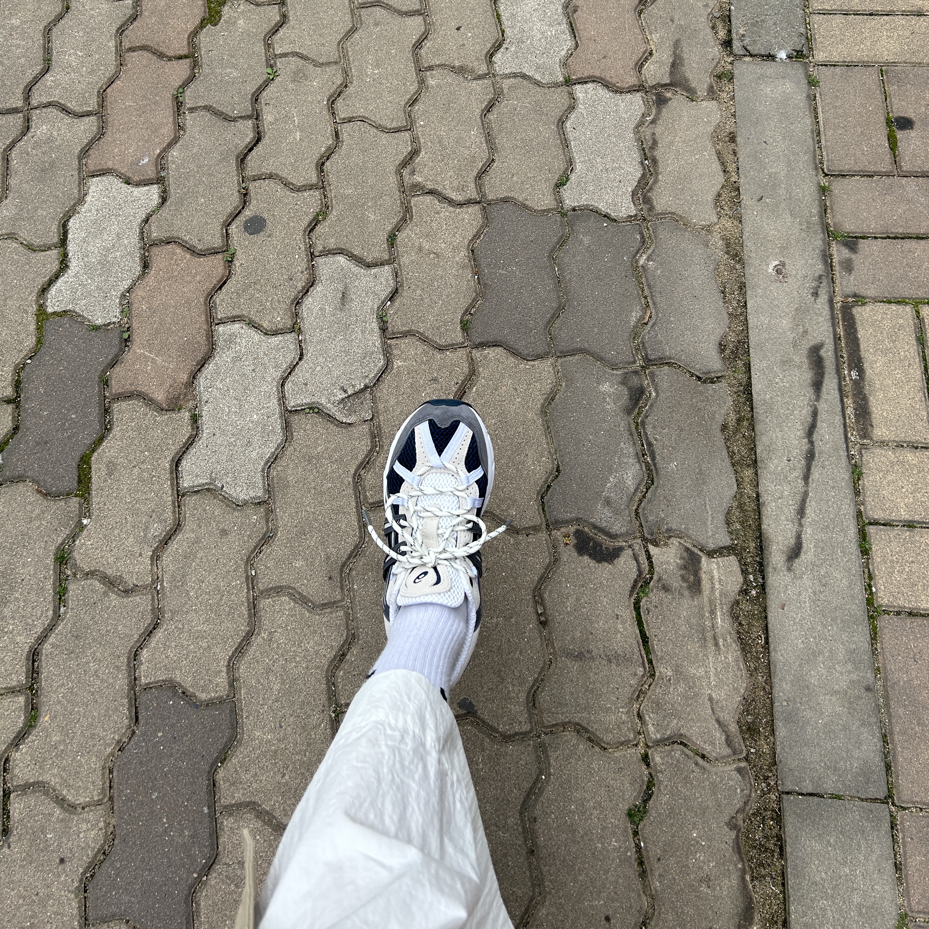Asics Gel-Sonoma 15-50 French Blue 착용 스타일