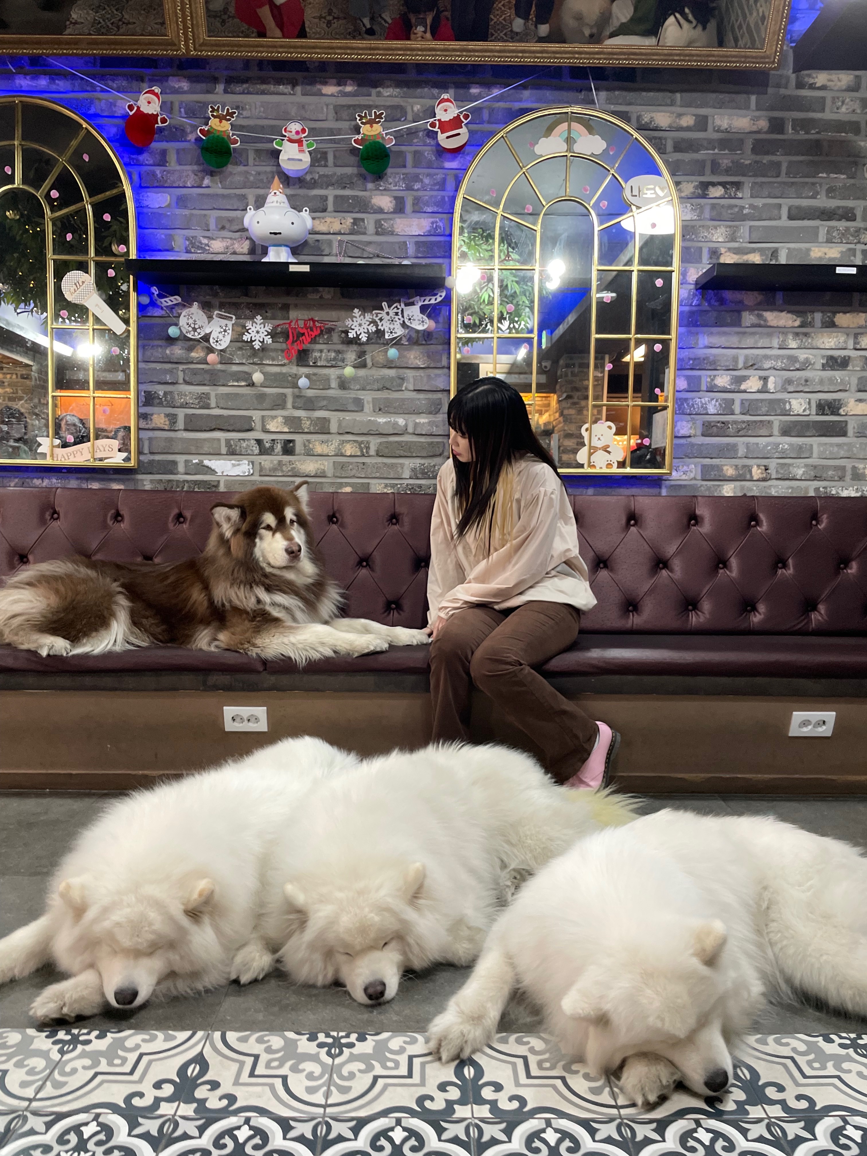 Haruka in Korea님의 스타일 - 4