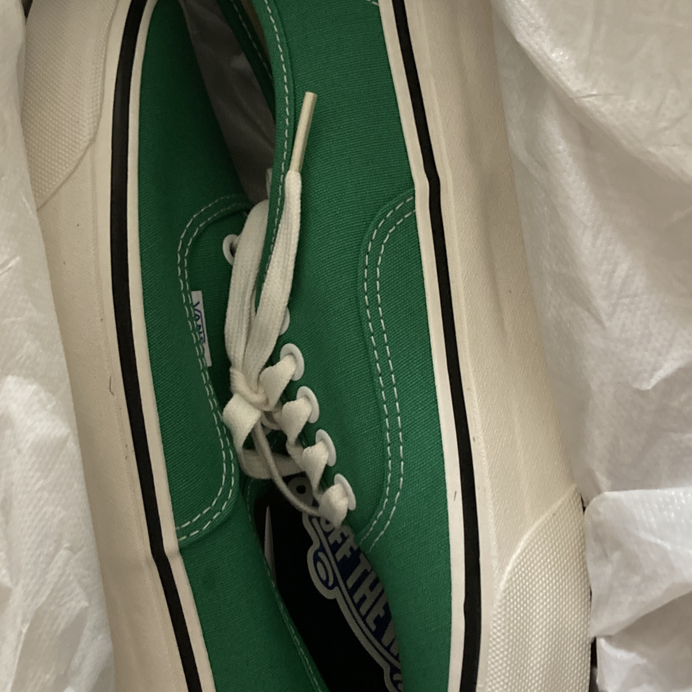 Vans Authentic 44 DX Anaheim Factory Emerald Green 착용 스타일
