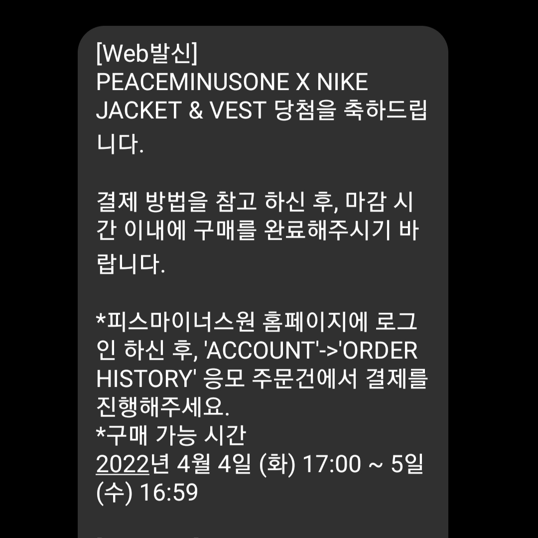 Nike x Peaceminusone 2+1 Jacket Black (DR0100-010) 착용 스타일
