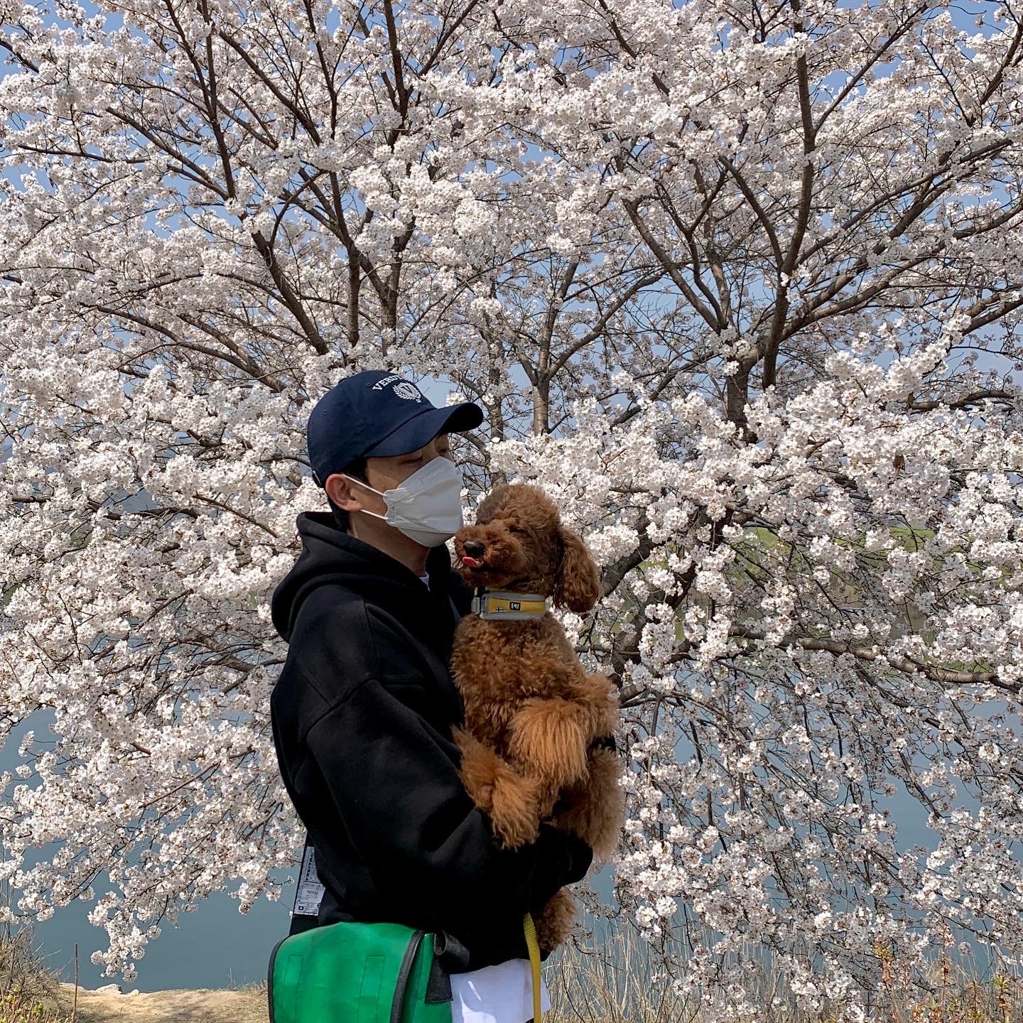 bj0203님의 스타일 - 1