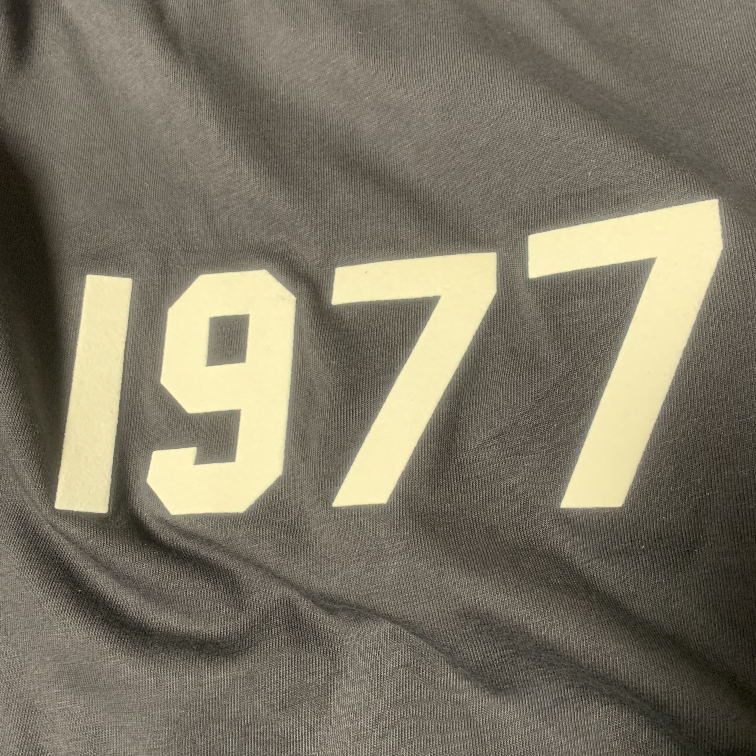 Essentials 1977 T-Shirt Iron - 22SS 착용 스타일
