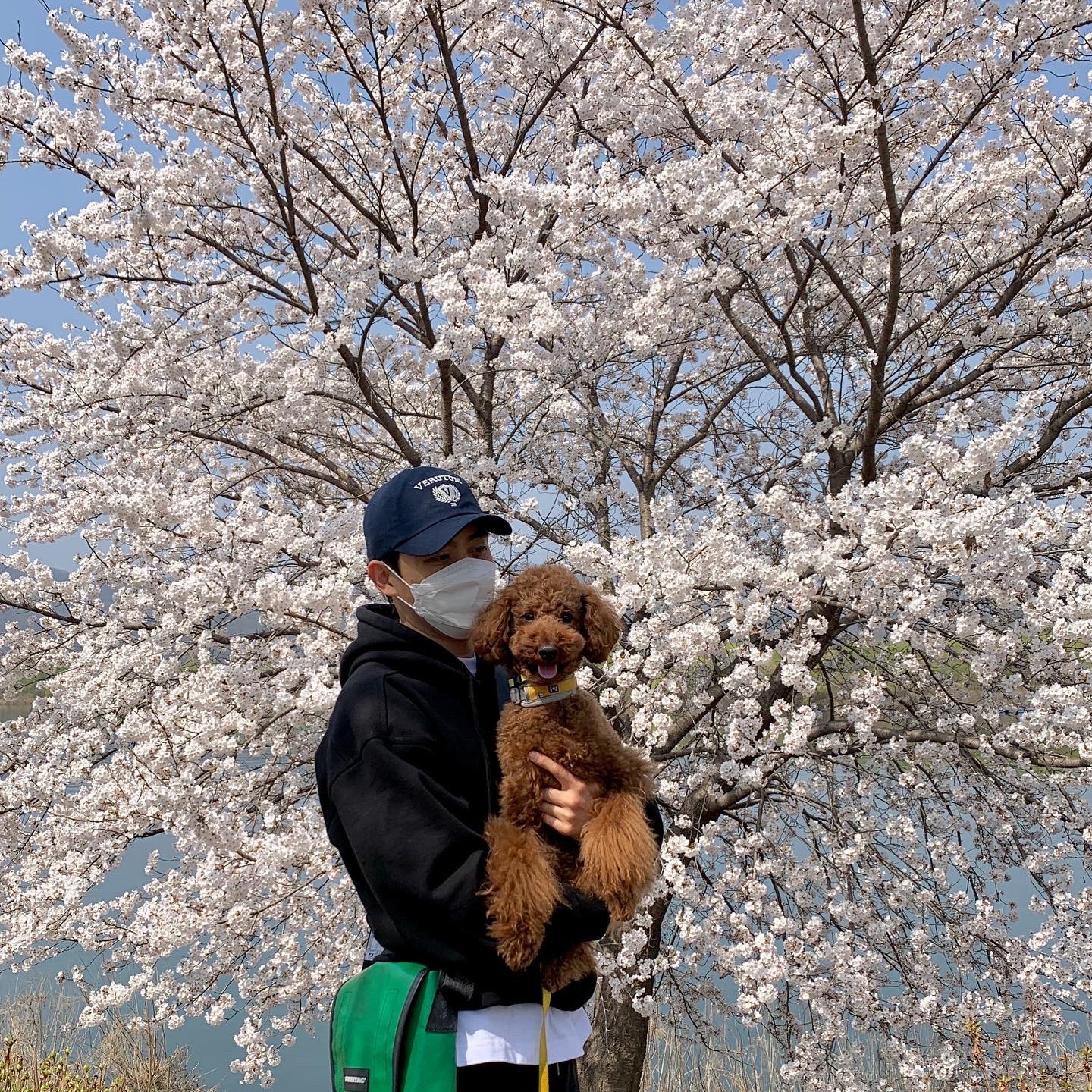 bj0203님의 스타일 - 3