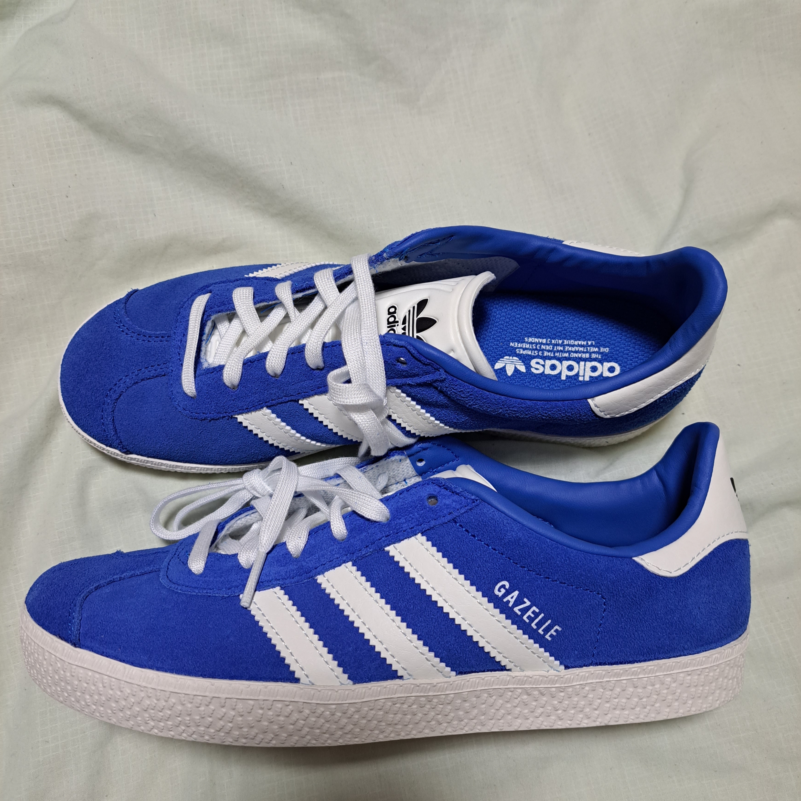 (J) Adidas Gazelle Glow Blue 착용 스타일