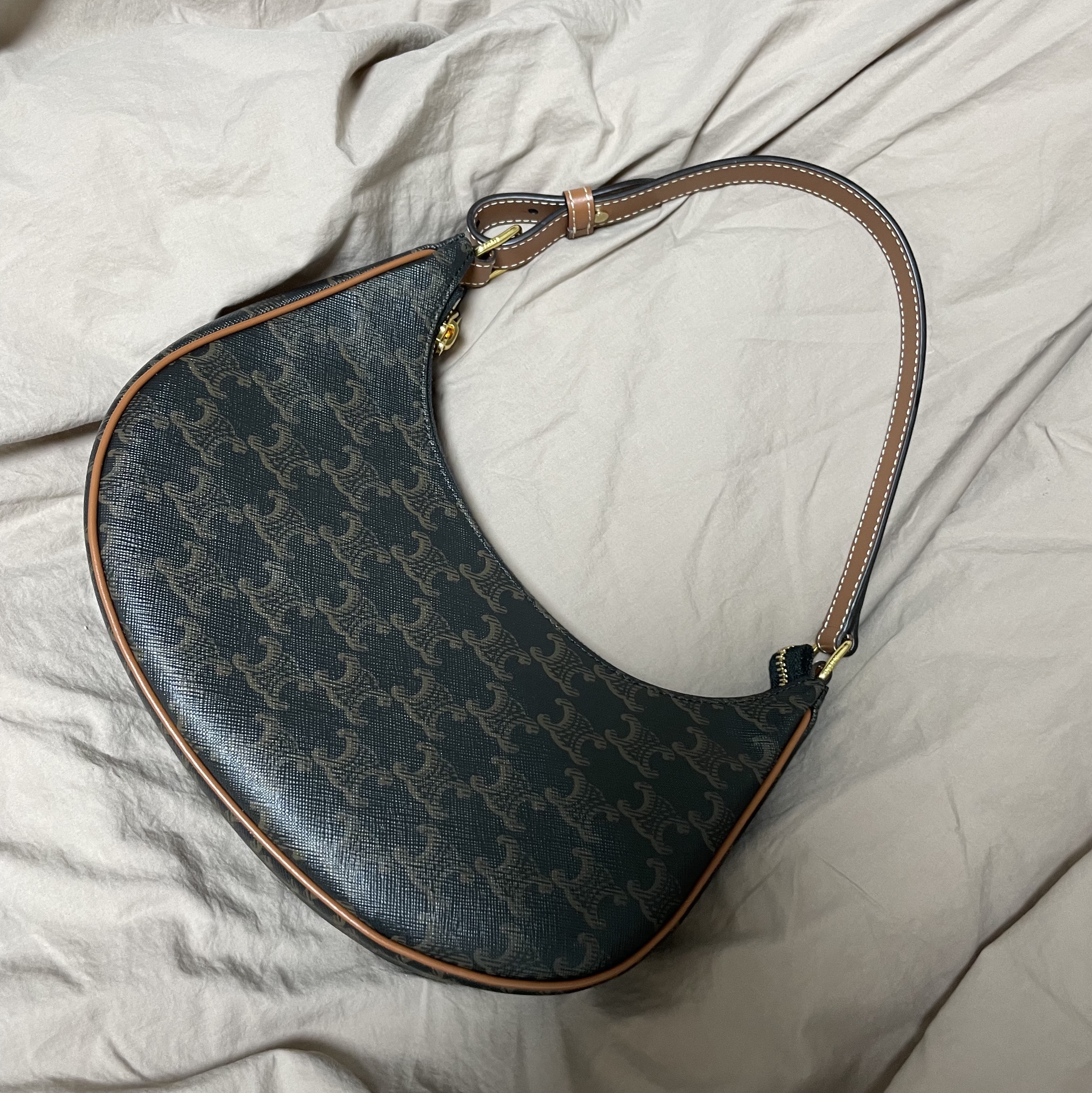 Celine Ava Bag in Triomphe Canvas and Calfskin Tan 착용 스타일