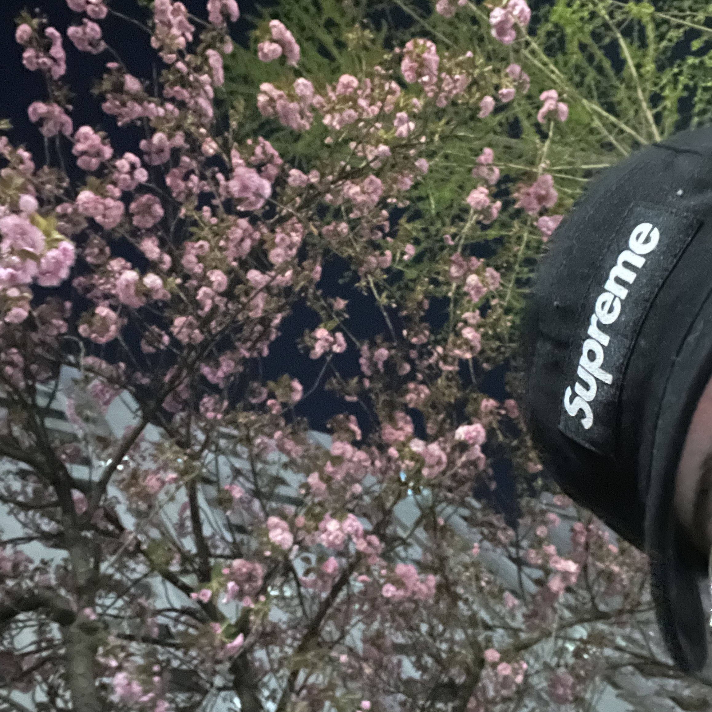 Supreme Washed Chino Twill Camp Cap Black 착용 스타일 - 2
