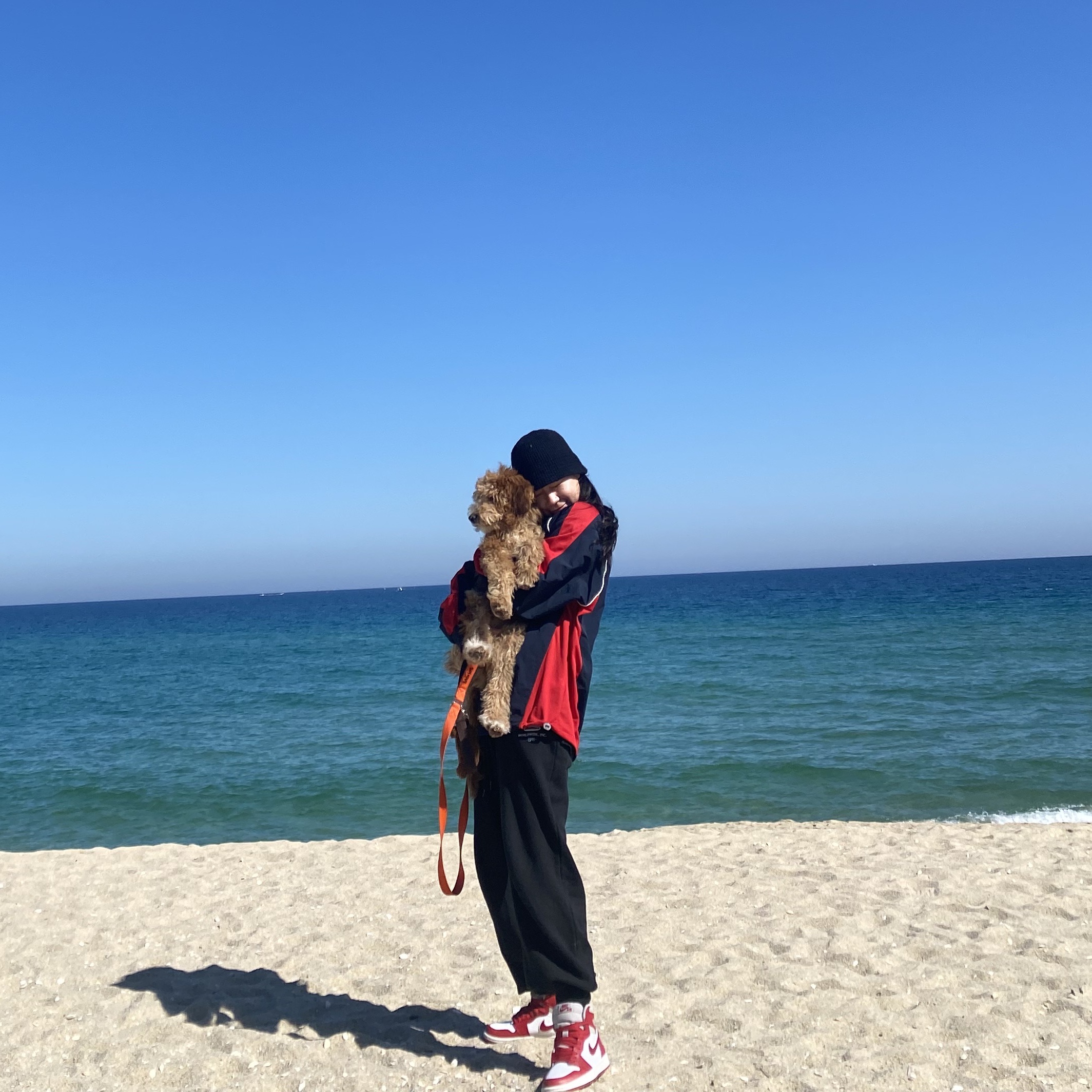 (W) Jordan 1 Retro High OG Varsity Red, Instantfunk Women Ms Graphic Print Sweatshirt Navy 착용 스타일