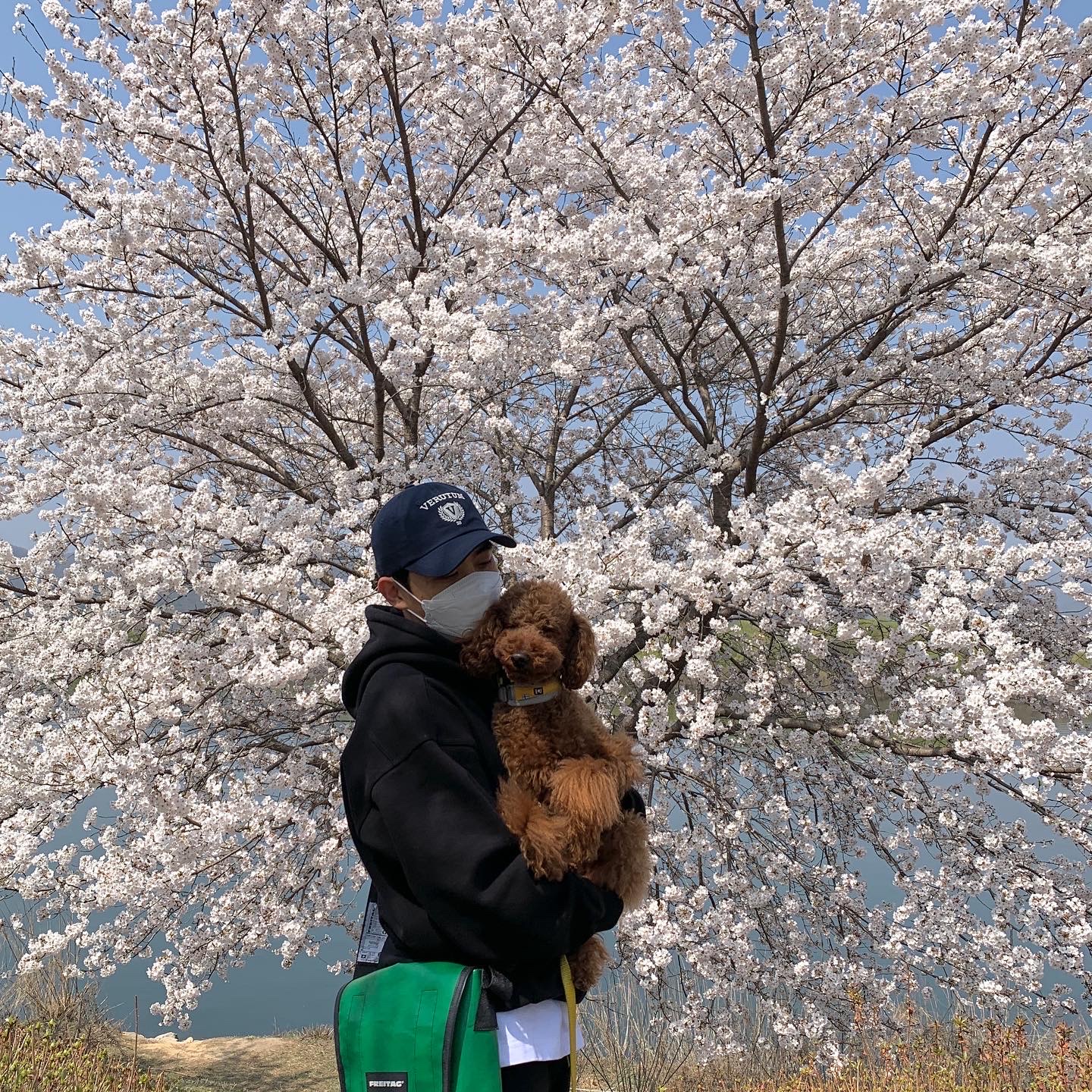 bj0203님의 스타일 - 2
