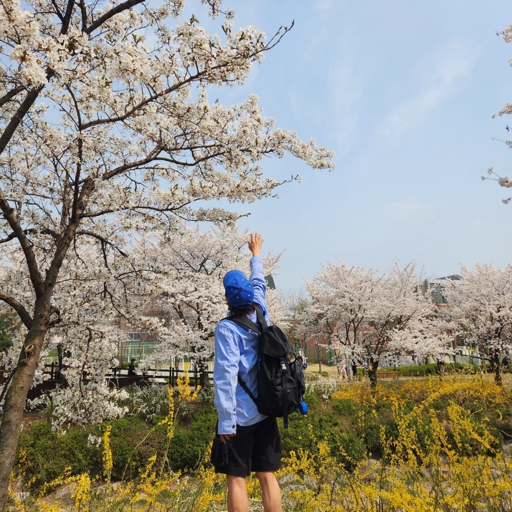 Zara x Ader Error Oversized Shirt Sky Blue, Ader Error x Zara Backpack Black 착용 스타일