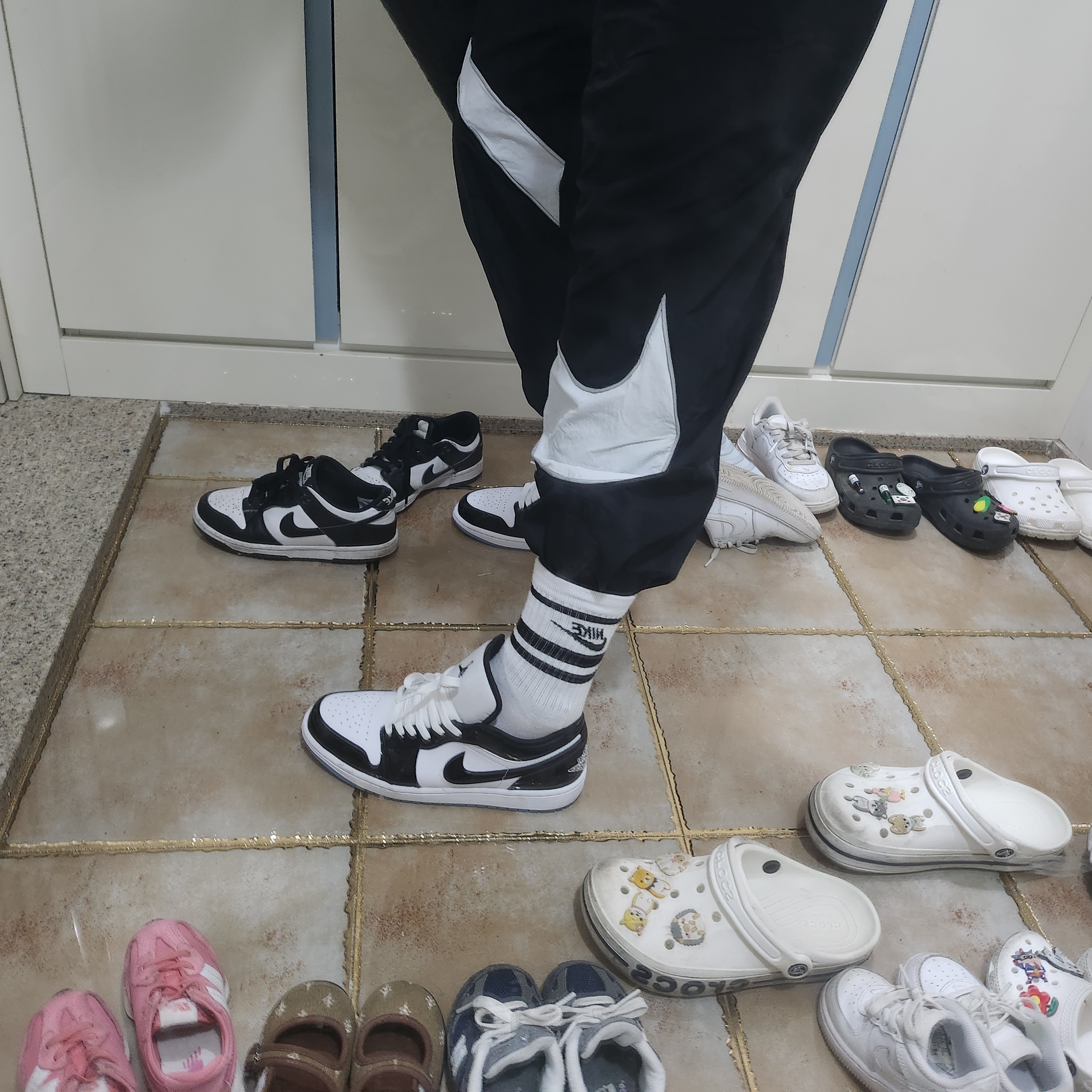 Jordan 1 Low SE Concord 착용 스타일