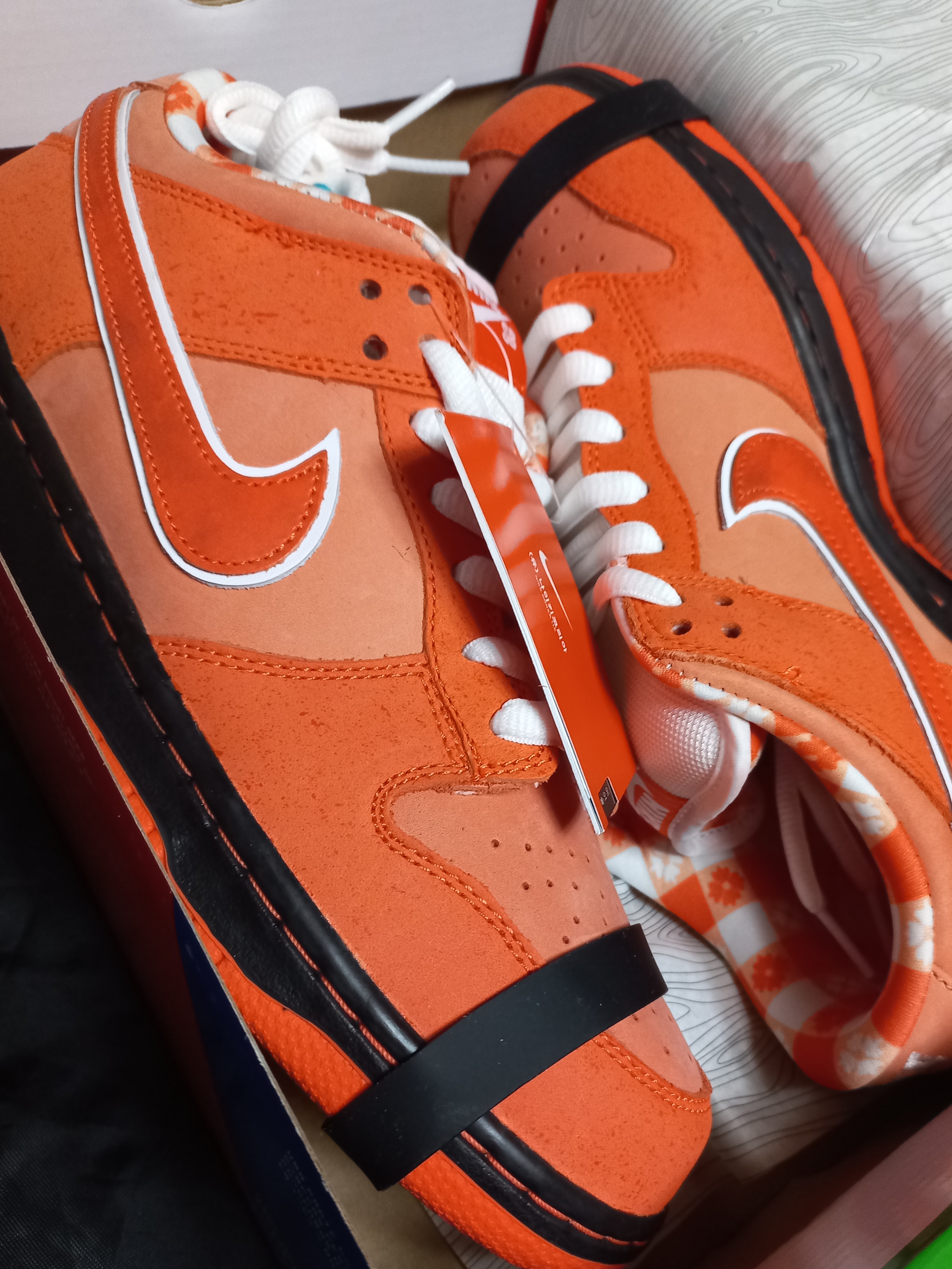 Nike x Concepts SB Dunk Low Orange Lobster (Regular Box) 착용 스타일