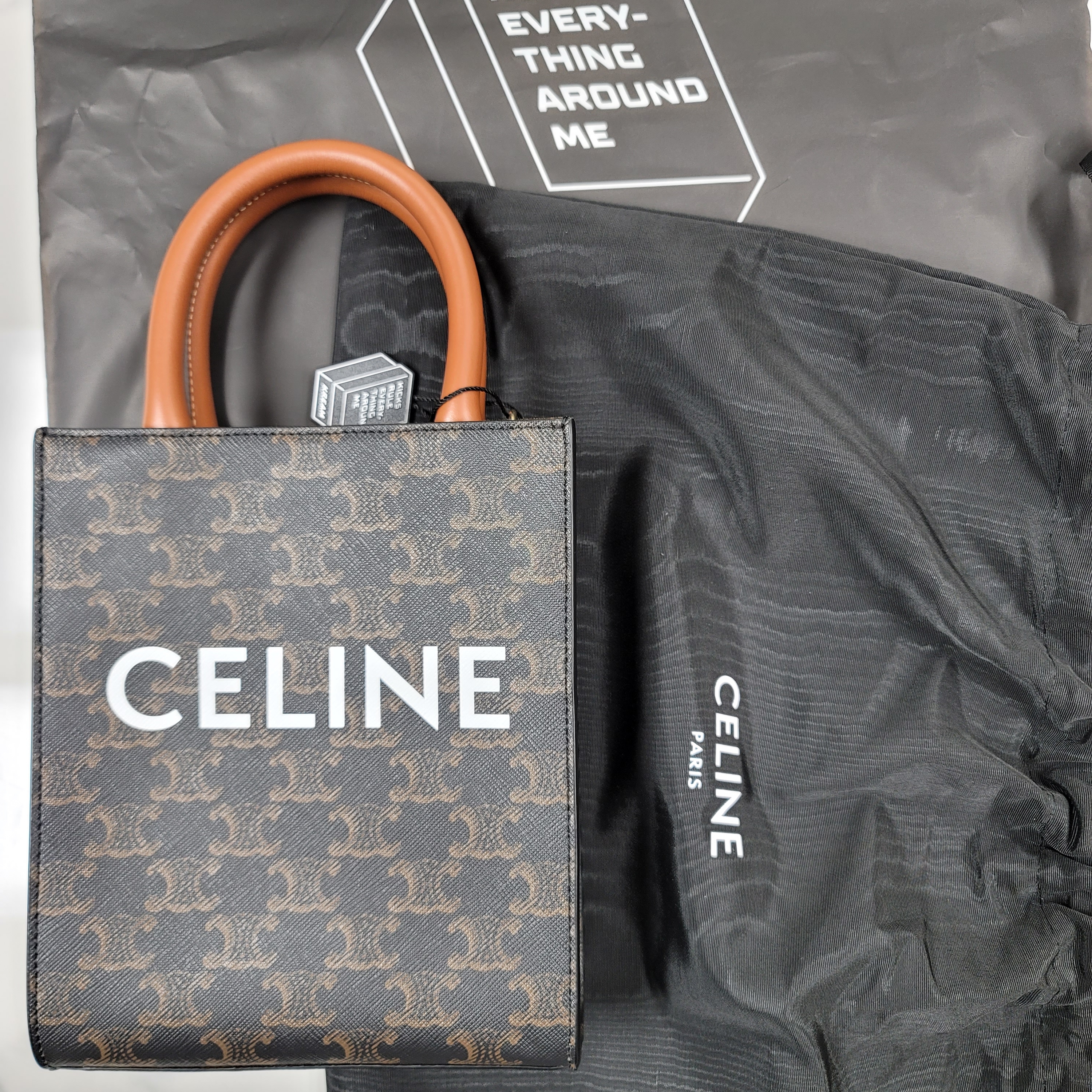 Celine Mini Vertical Cabas in Triomphe Canvas and Calfskin with Celine Print Tan 착용 스타일