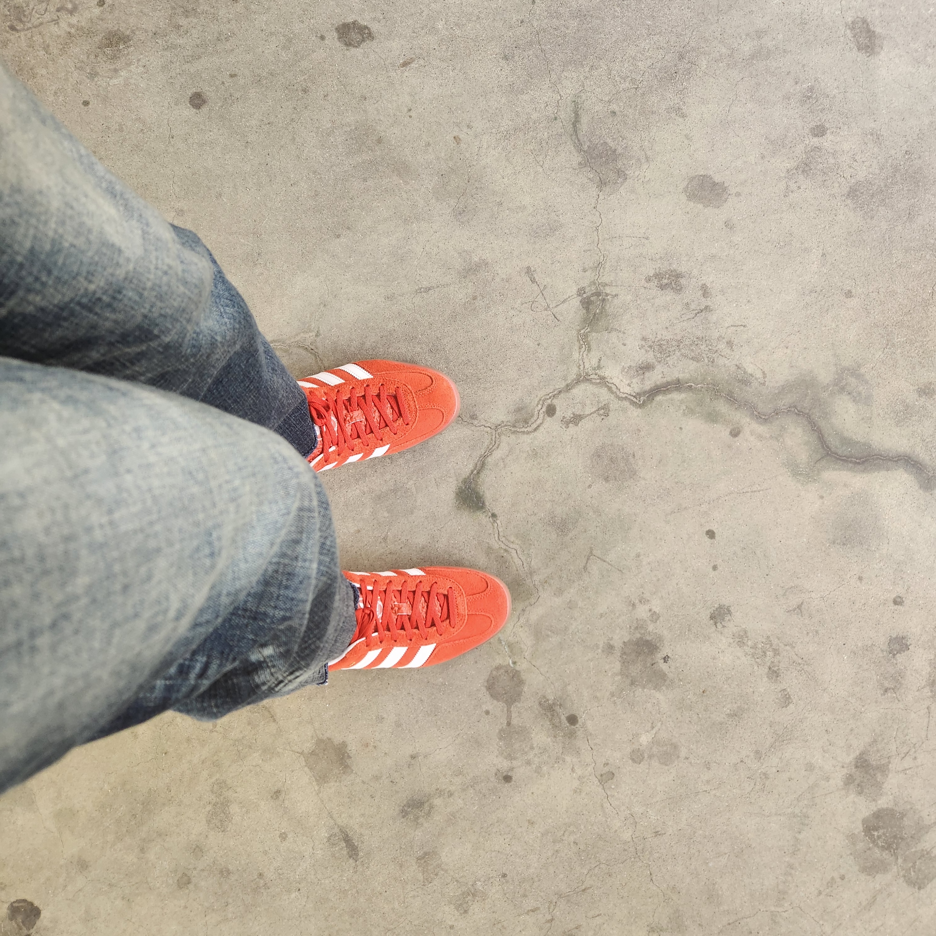 (W) Adidas Gazelle Indoor Bold Orange Cloud White 착용 스타일