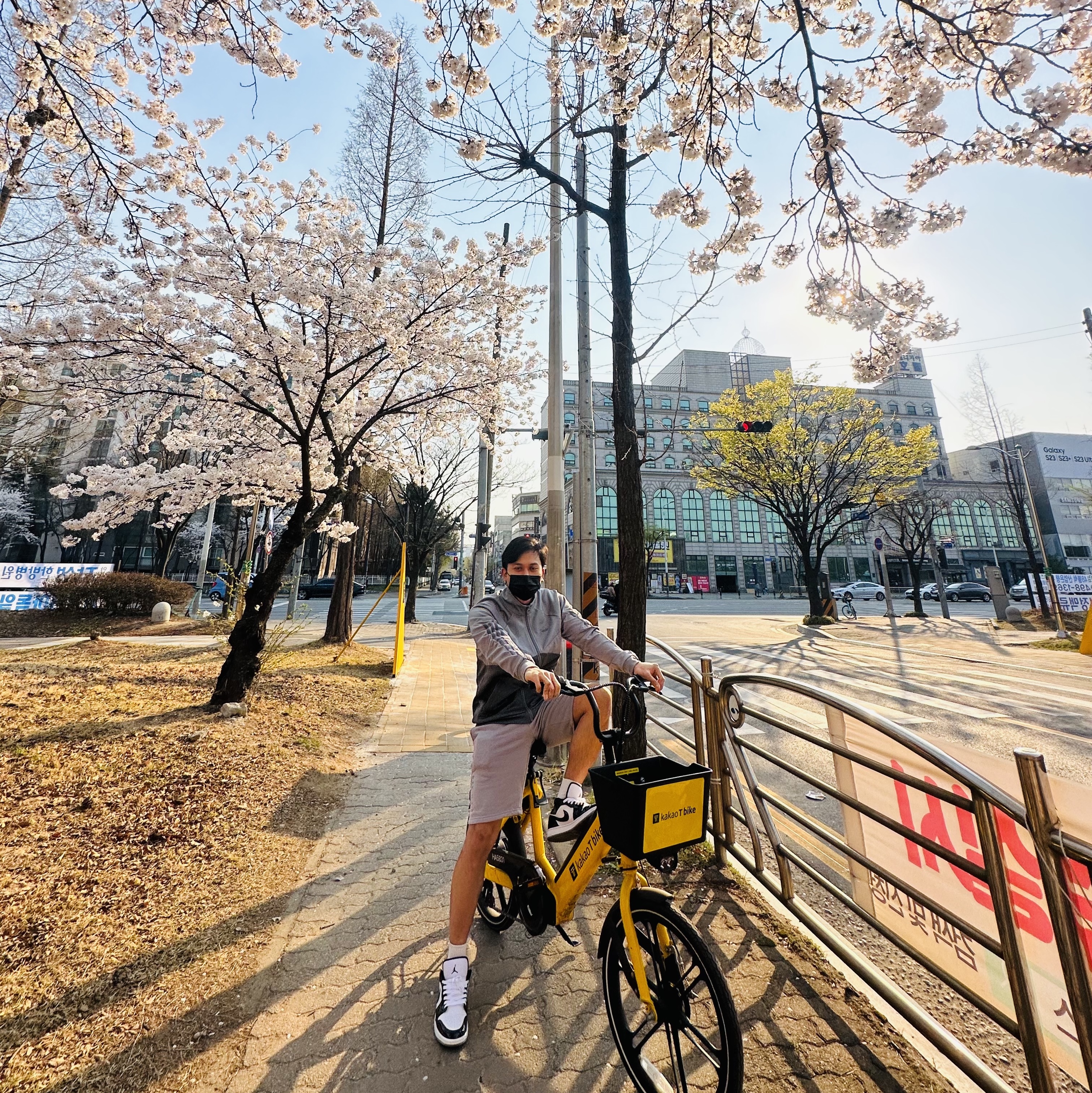 Jordan 1 Low SE Concord 착용 스타일 - 1