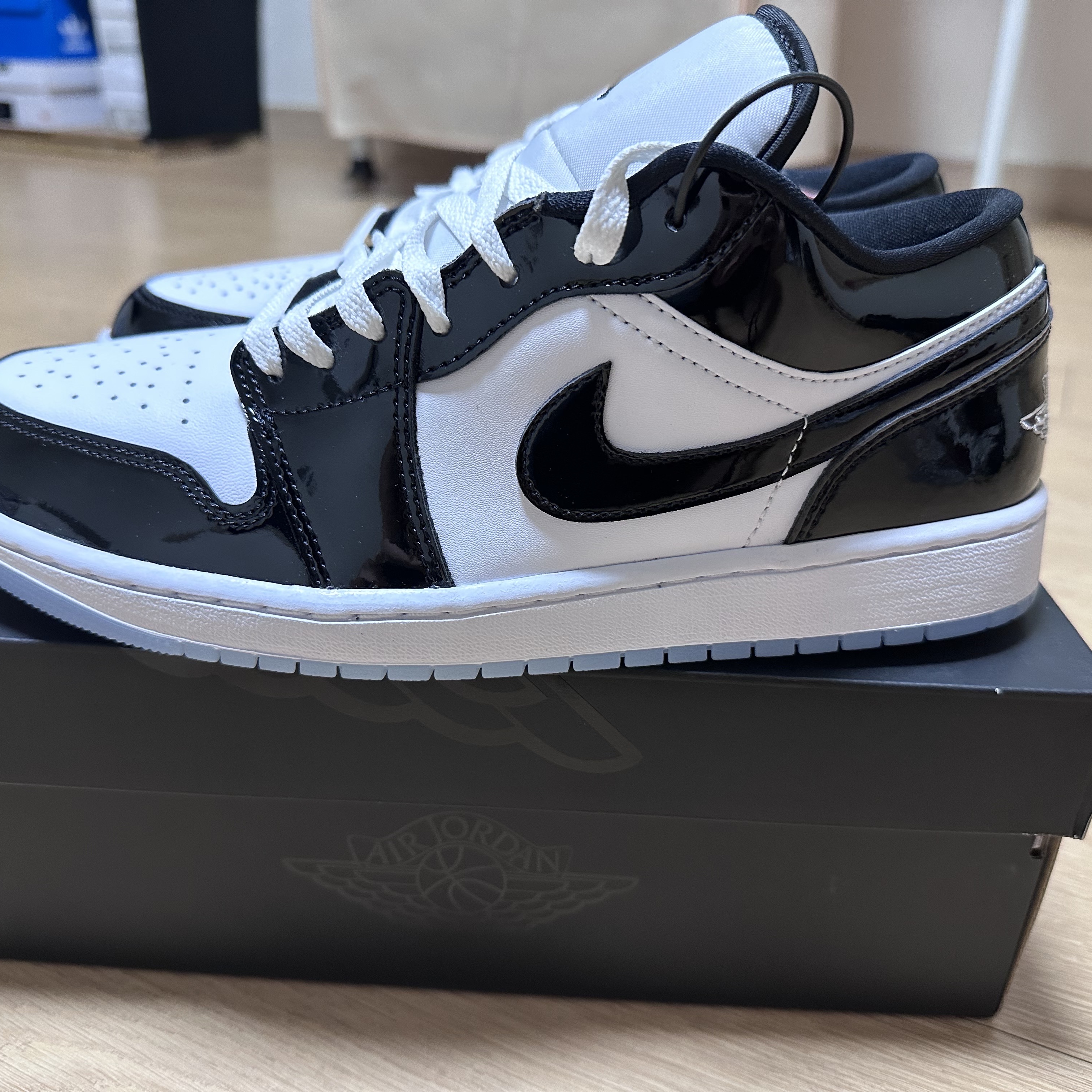 Jordan 1 Low SE Concord 착용 스타일 - 2