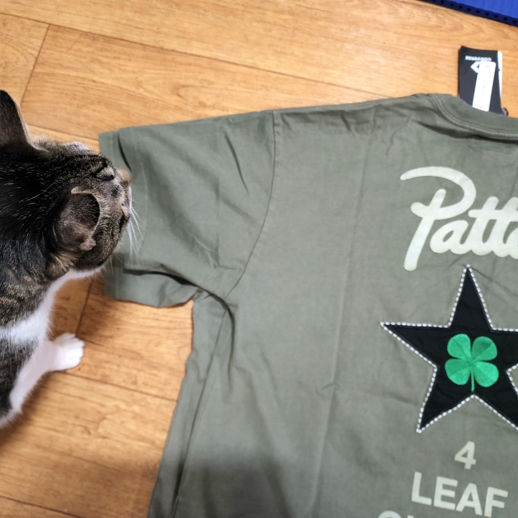 Converse x Patta Four Leaf Clover Short Sleeve T-Shirt Burnt Olive 착용 스타일 - 2