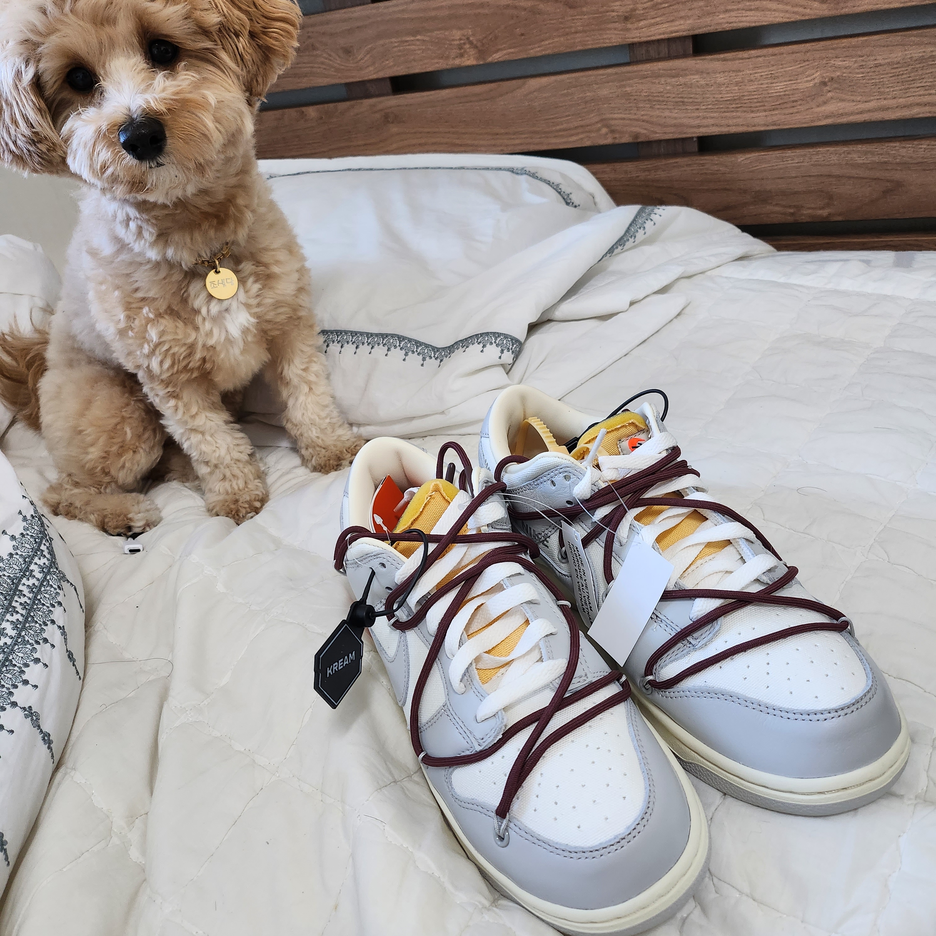 Nike x Off-White Dunk Low The 50 - Lot 46 착용 스타일