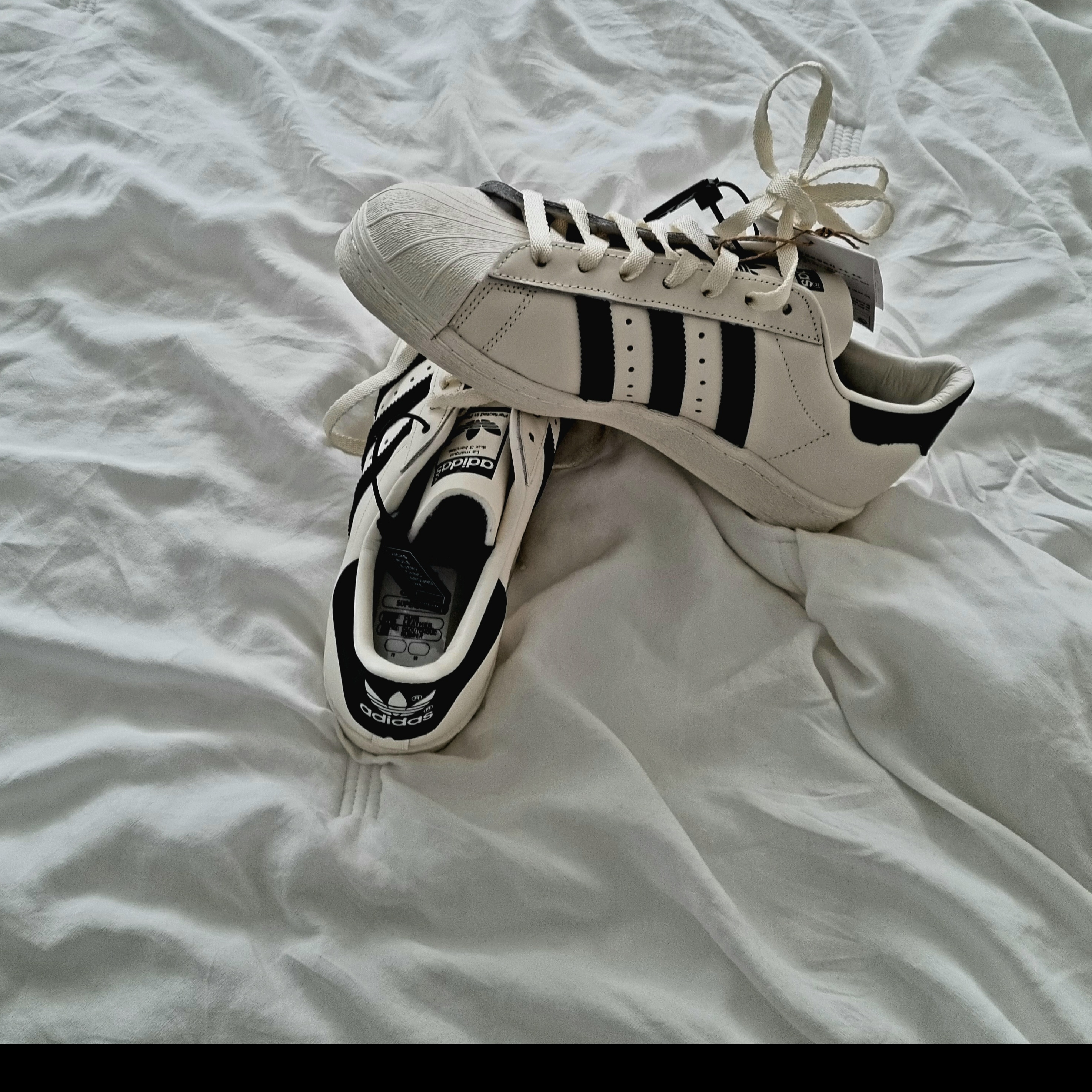 Adidas Superstar 82 White Black 착용 스타일