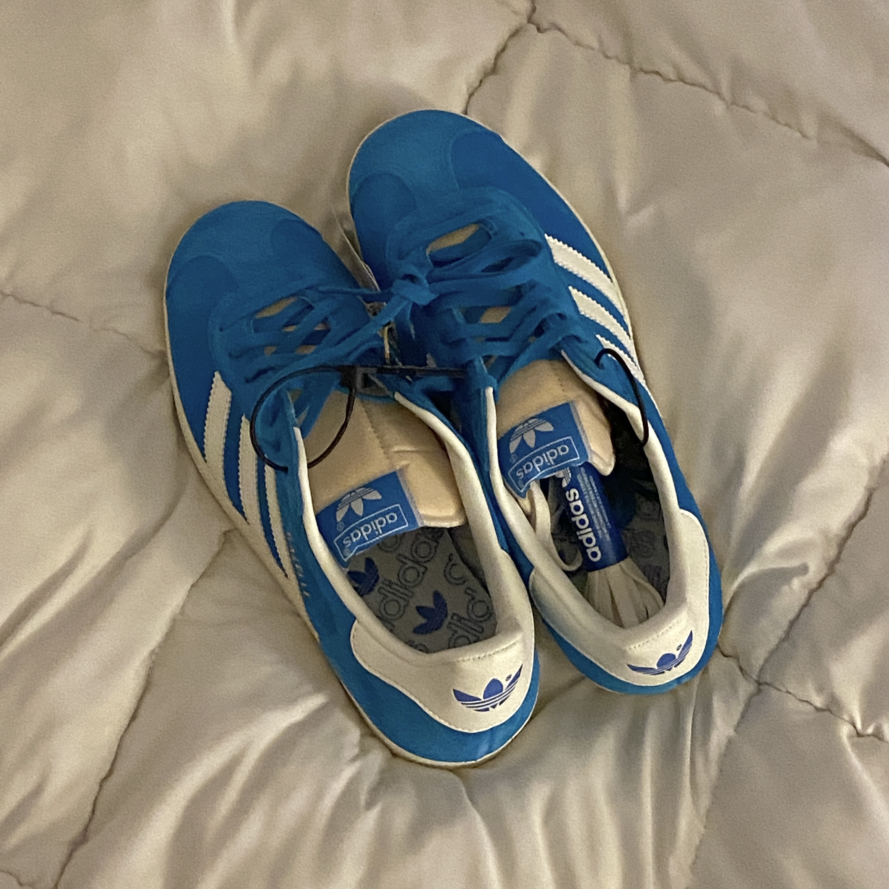 Adidas Gazelle Bold Aqua Off White 착용 스타일
