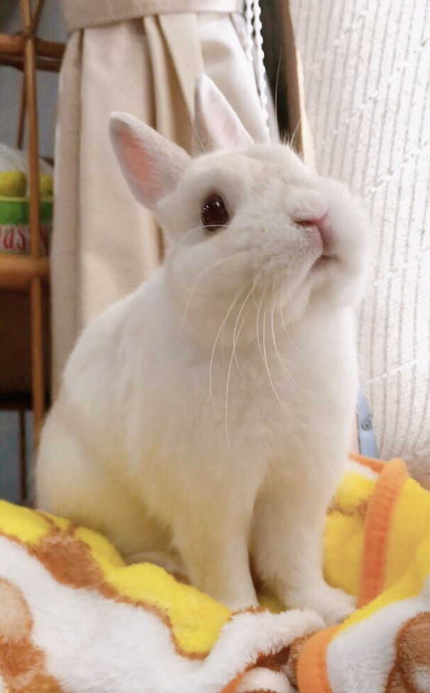 관심 유저 프로필 이미지