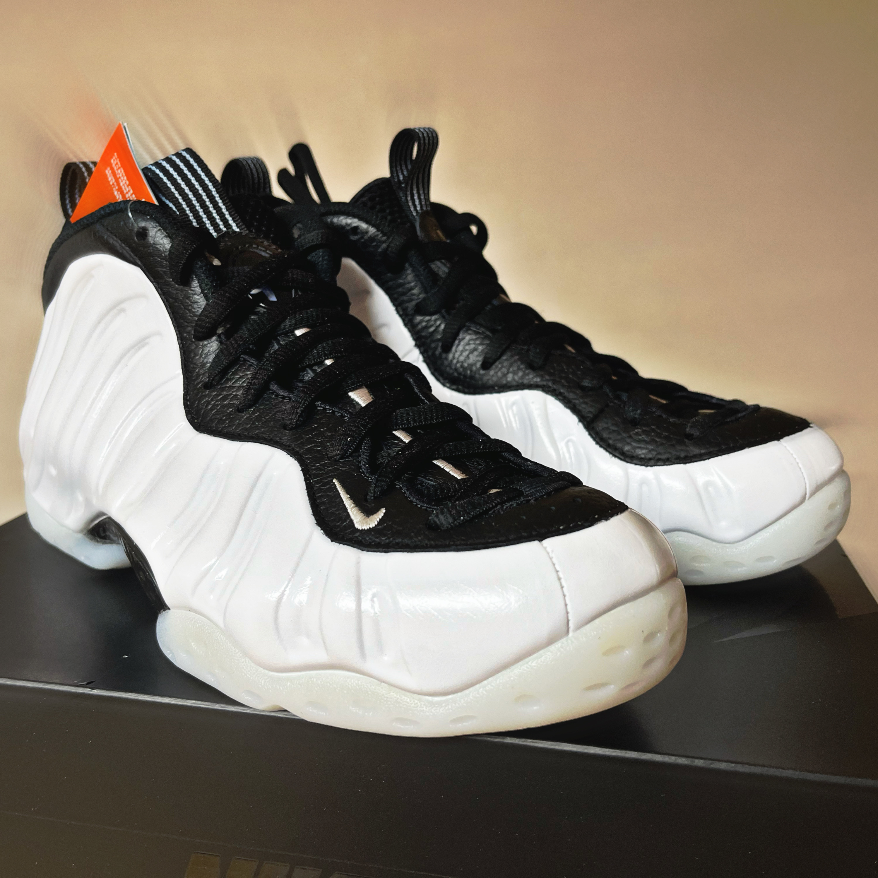 Nike Air Foamposite One White and Black 착용 스타일