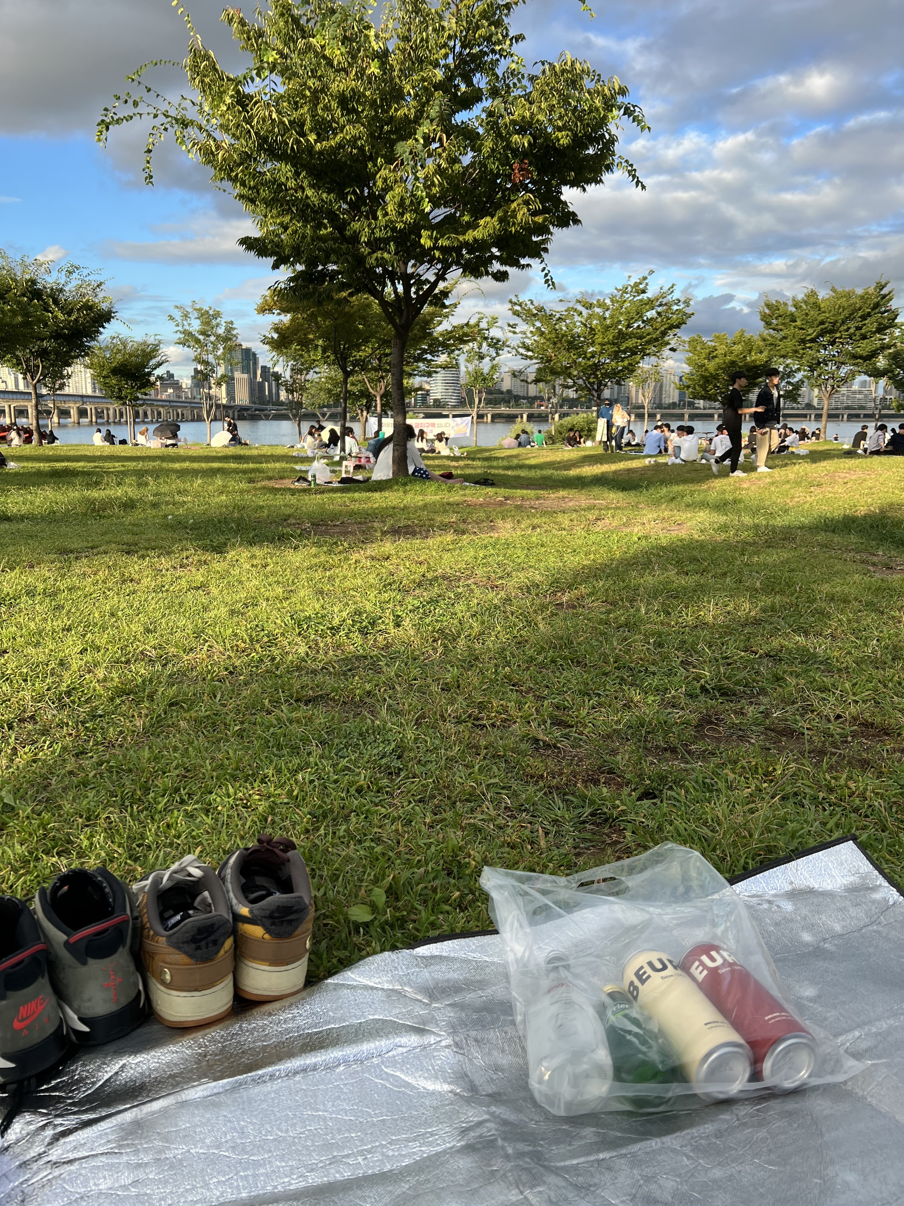 Jordan 6 x Travis Scott Retro Olive, Nike x Travis Scott Air Force 1 Low Cactus Jack 착용 스타일