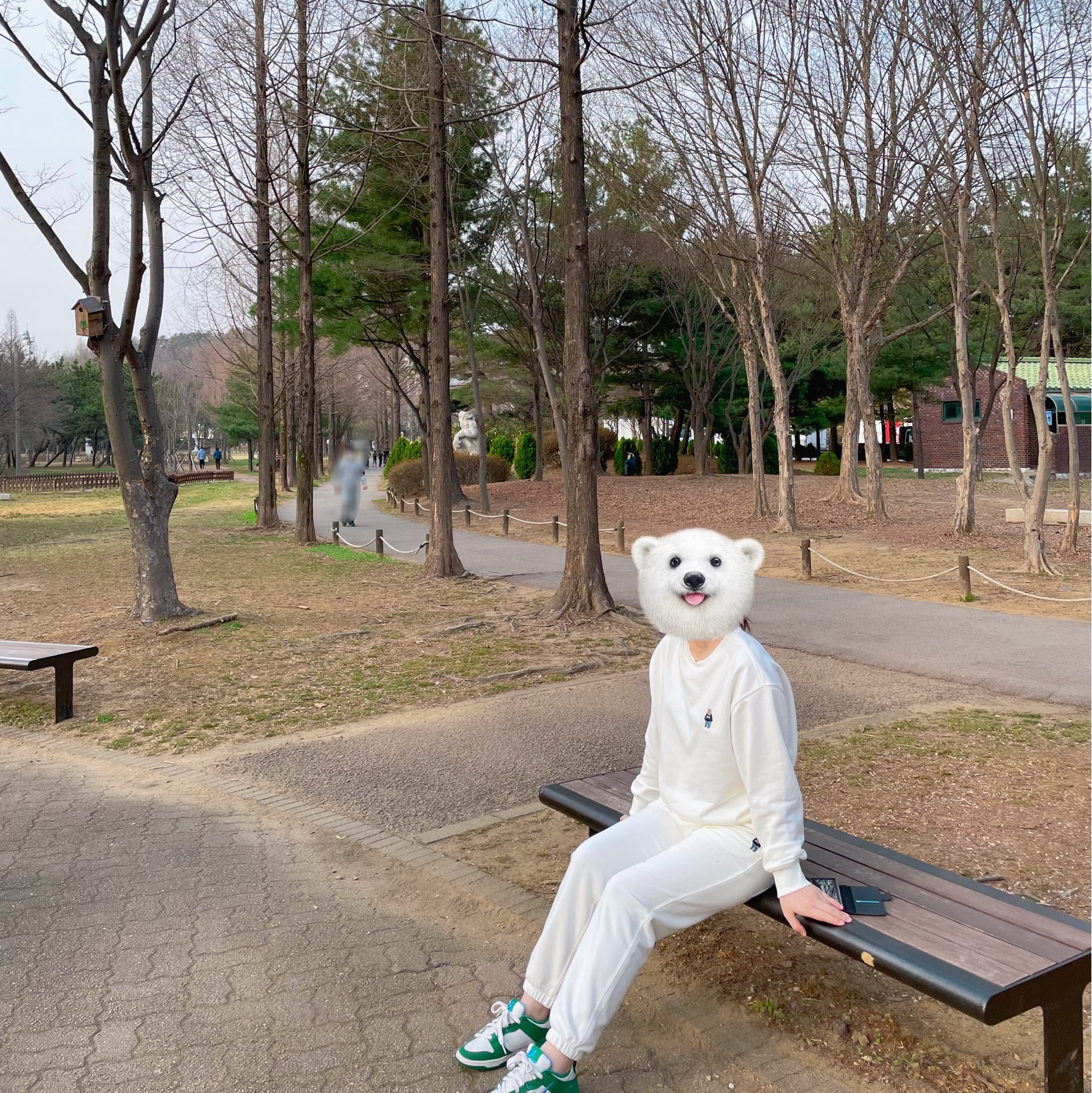 (W) Nike Dunk Low Disrupt 2 Phantom University Blue 착용 스타일