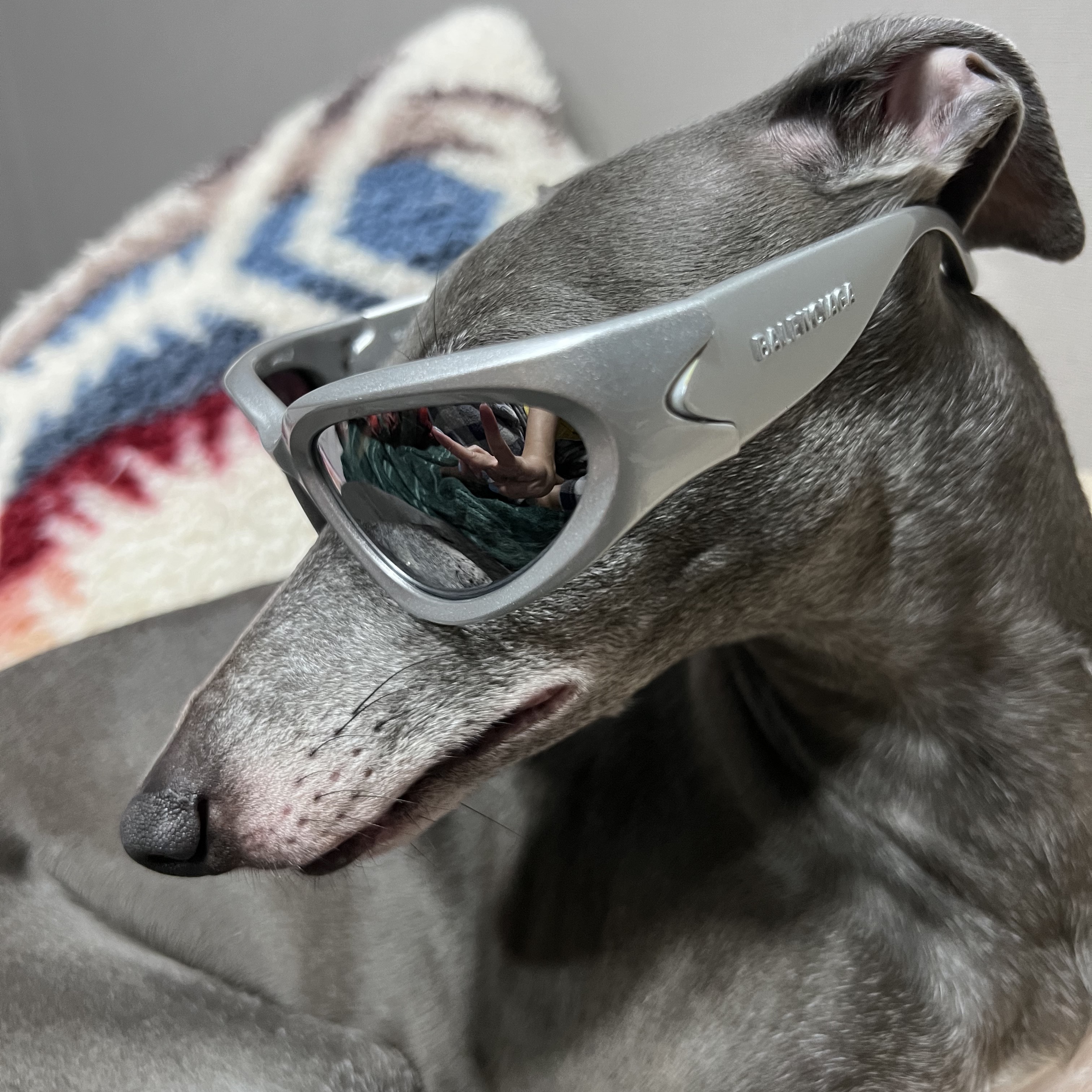 Balenciaga Swift Oval Sunglasses Silver 착용 스타일 - 1