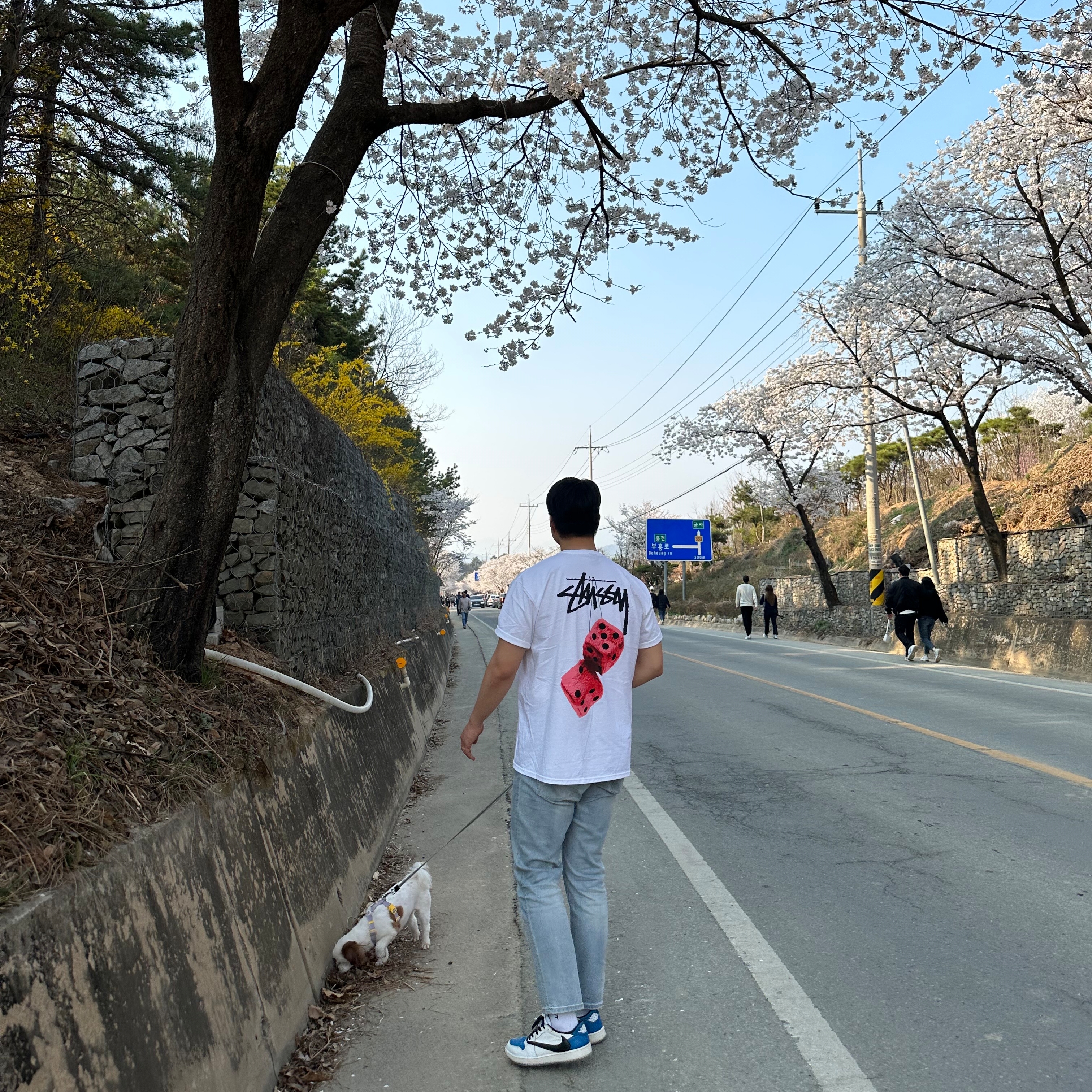 Stussy Fuzzy Dice T-Shirt White 착용 스타일