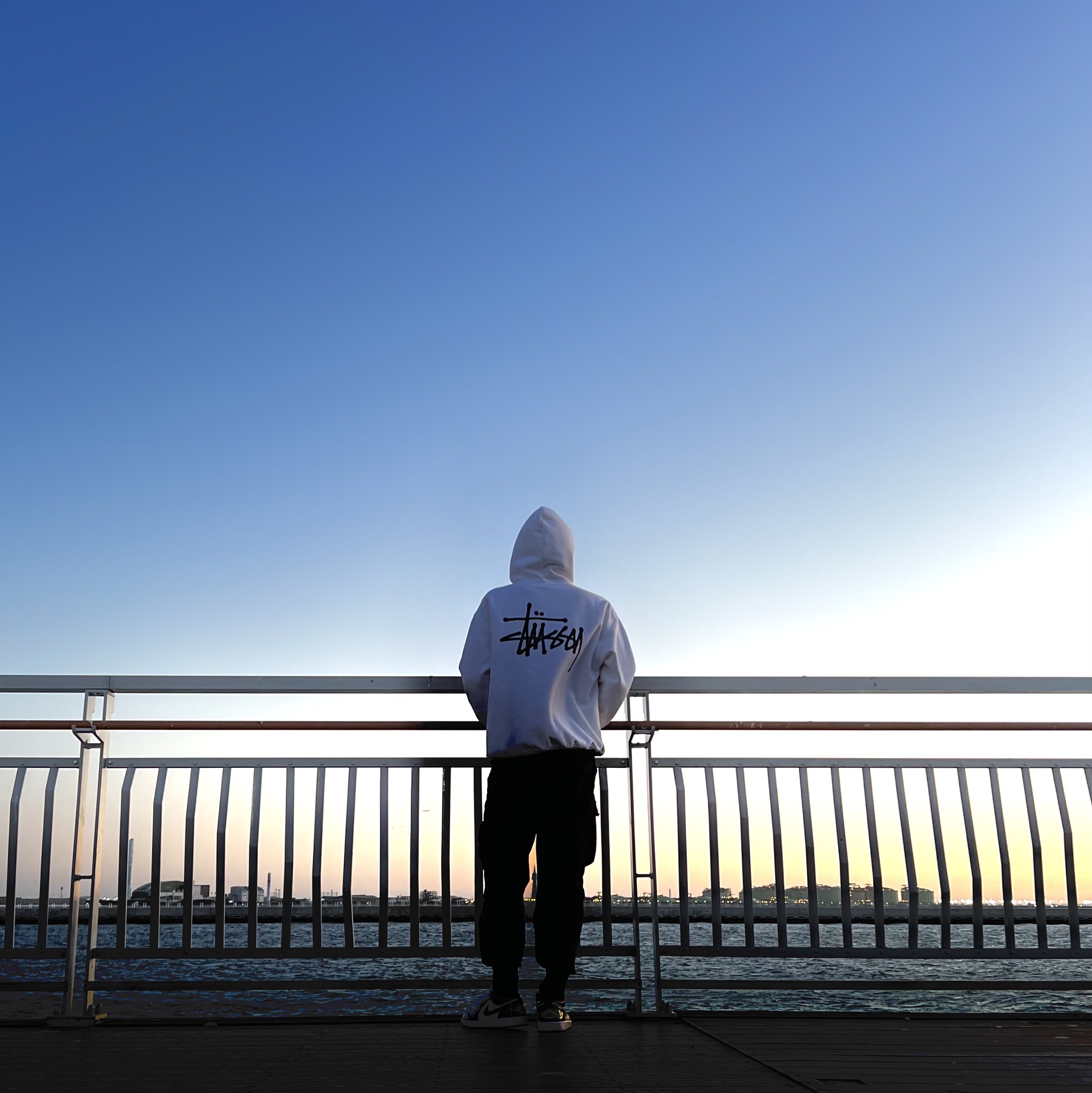 Stussy Basic Stussy Hoodie Ash Heather 2023, Jordan 1 Low SE Concord 착용 스타일