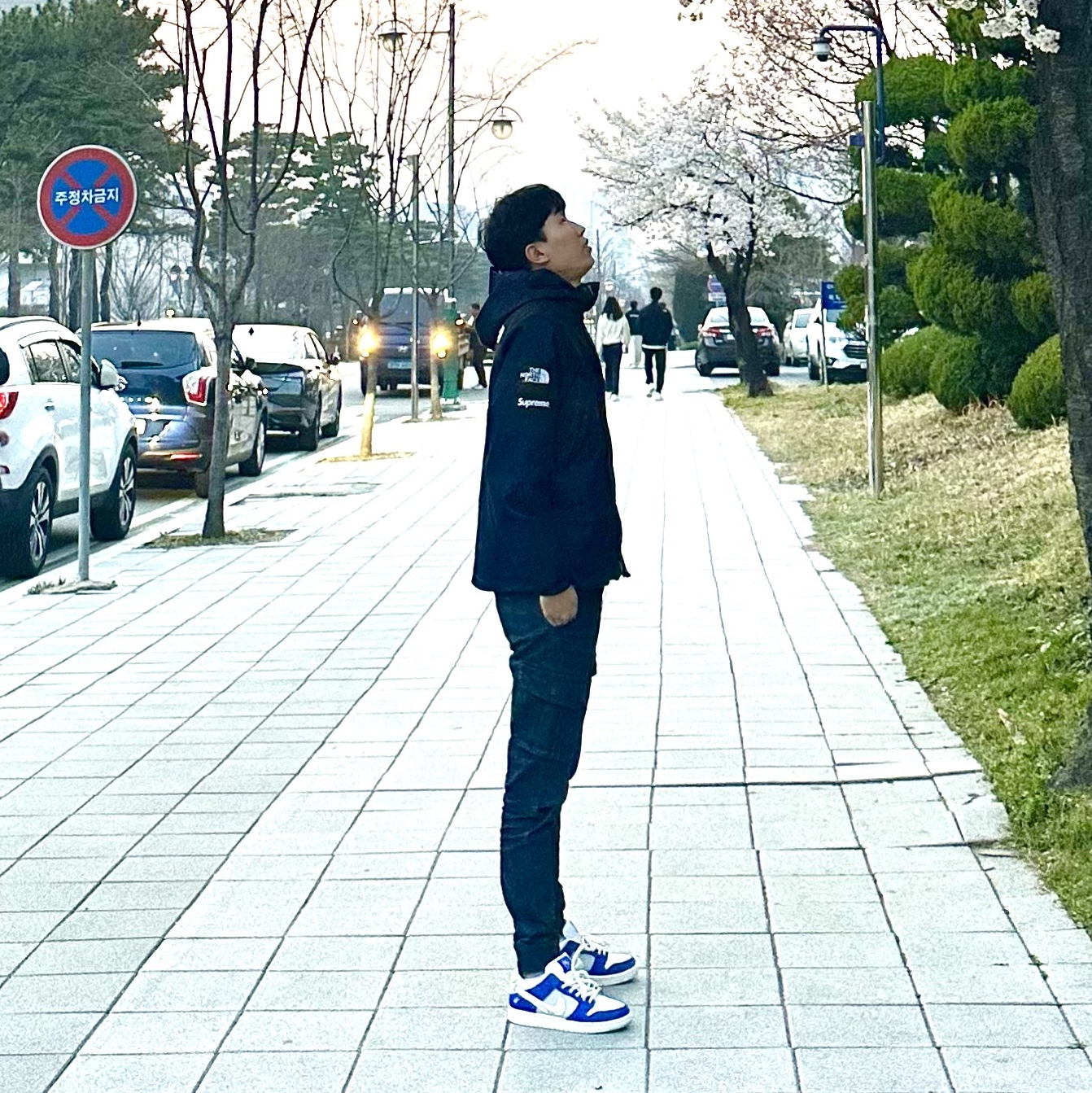 Nike x Fly Streetwear SB Dunk Low Pro Gardenia 착용 스타일