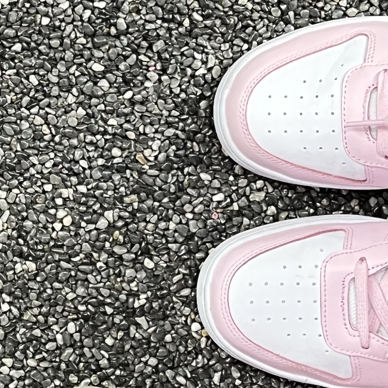 (GS) Nike Court Borough 2 SE White Pink Foam 착용 스타일 - 1