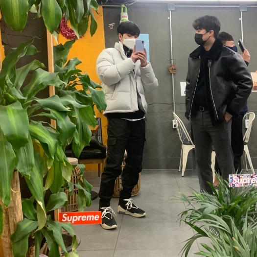 스타일 카드